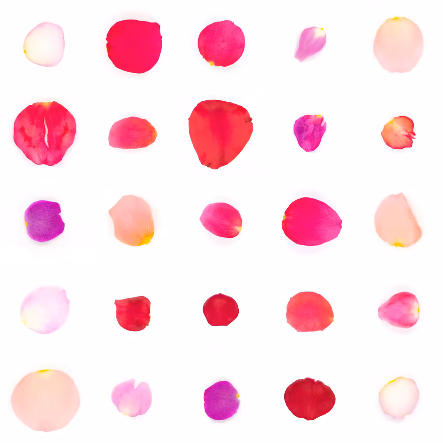 Infinite Petals 5x5#21083