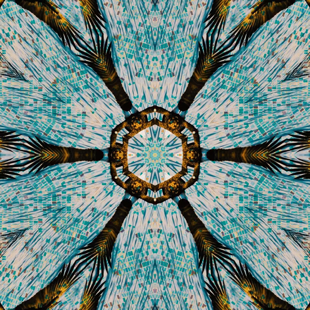 Flying Dreams Enhancher 