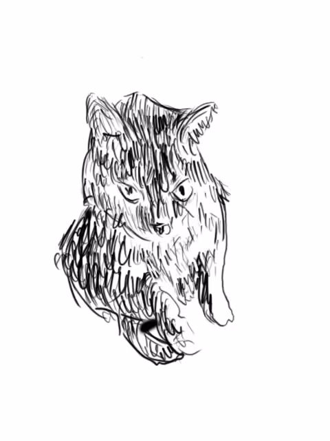 Kitaj Cat