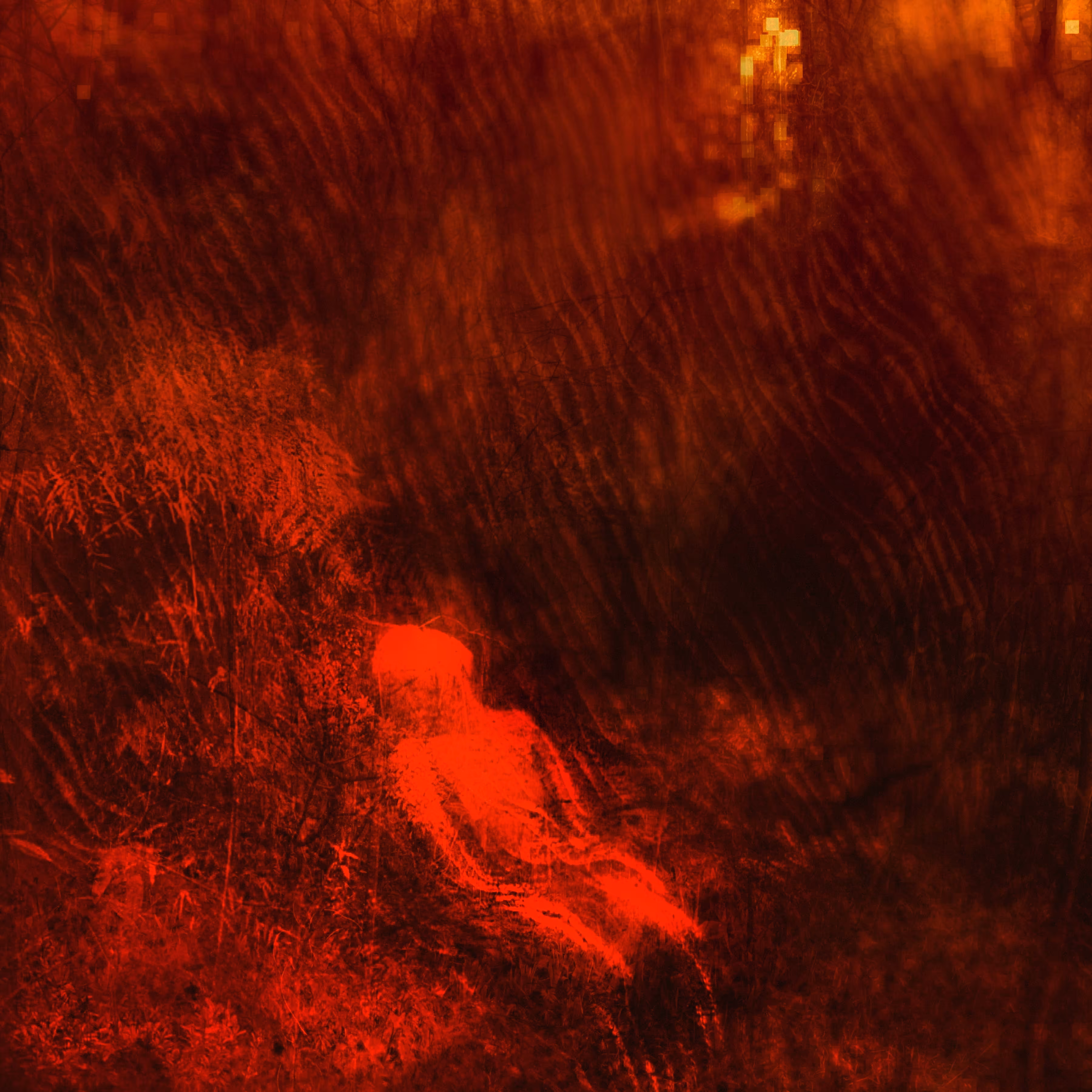 Untitled | From Darshan Serie