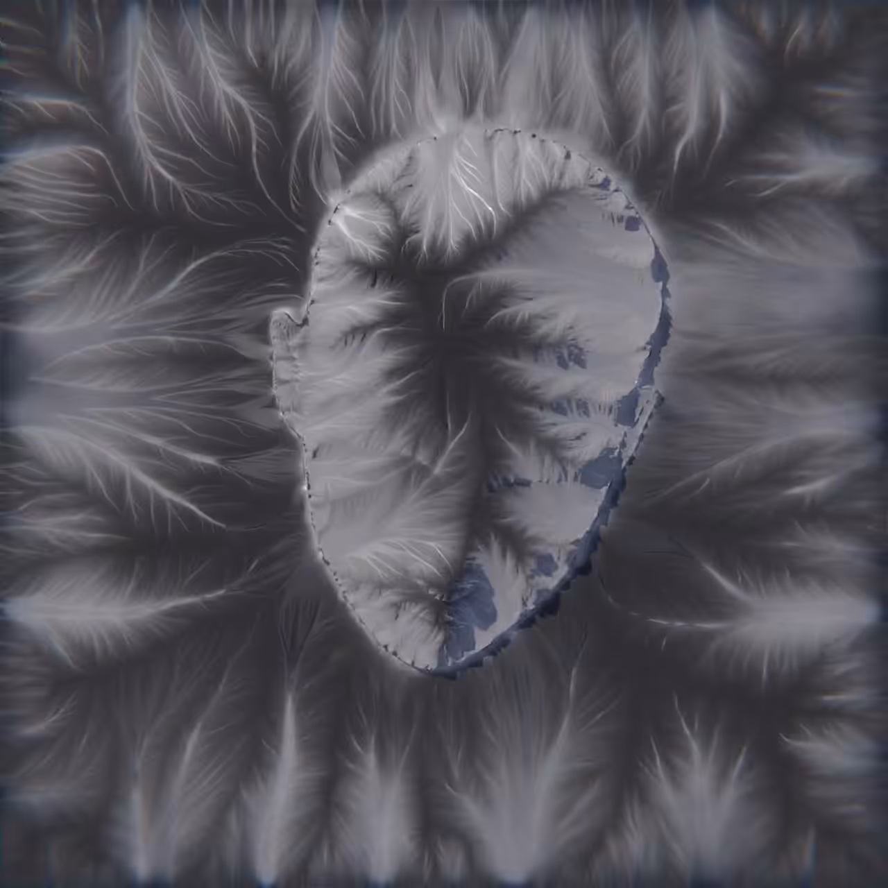 Figure Erosion #17 - Crown
