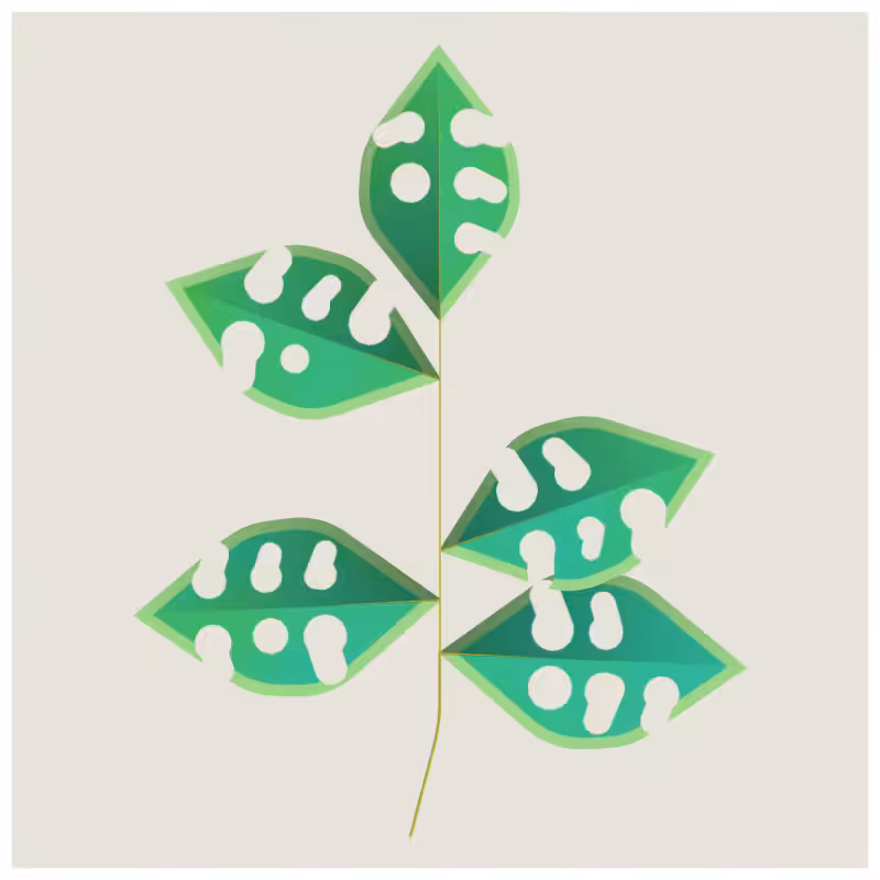Leaves #25