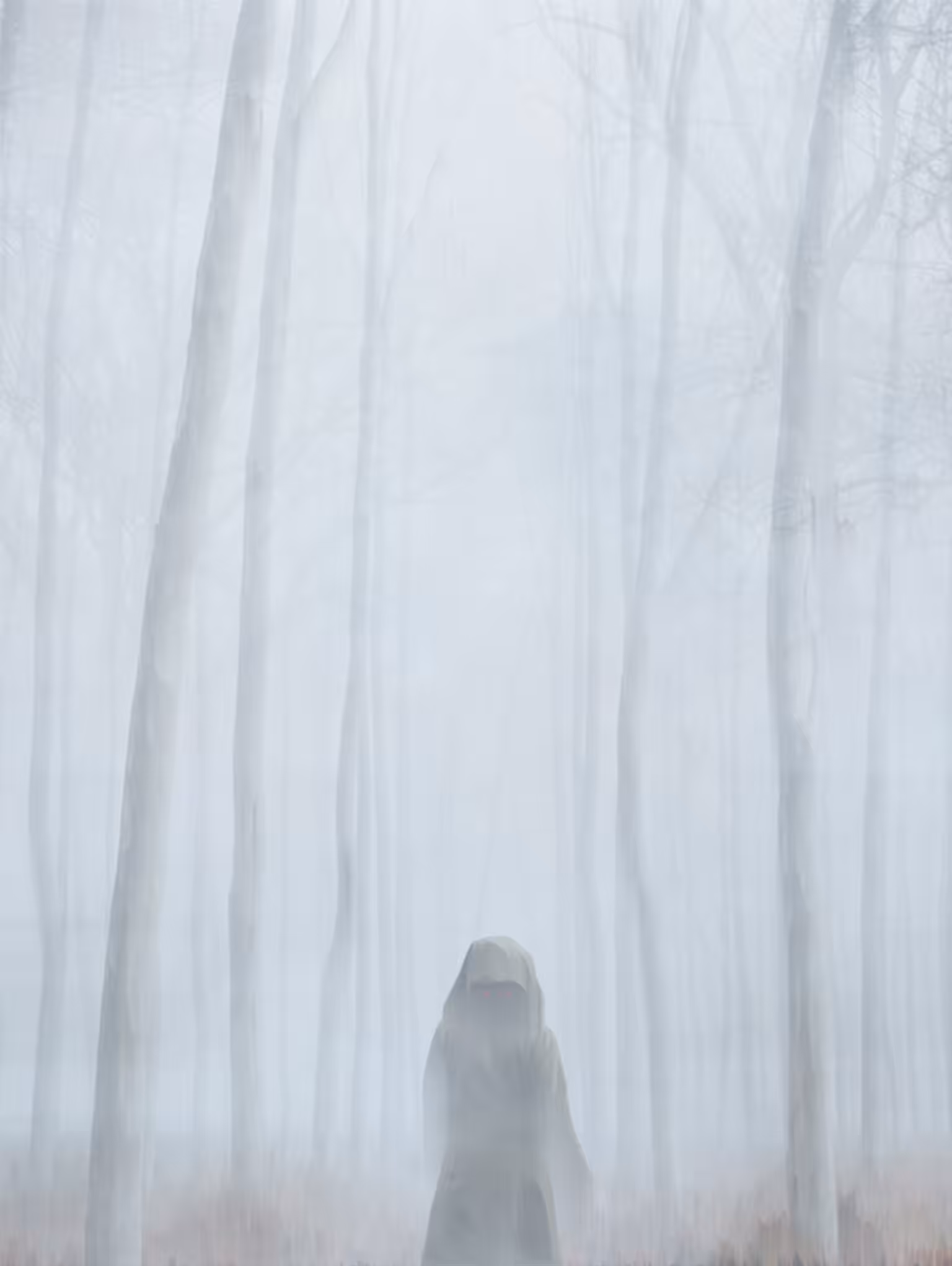 The Mist