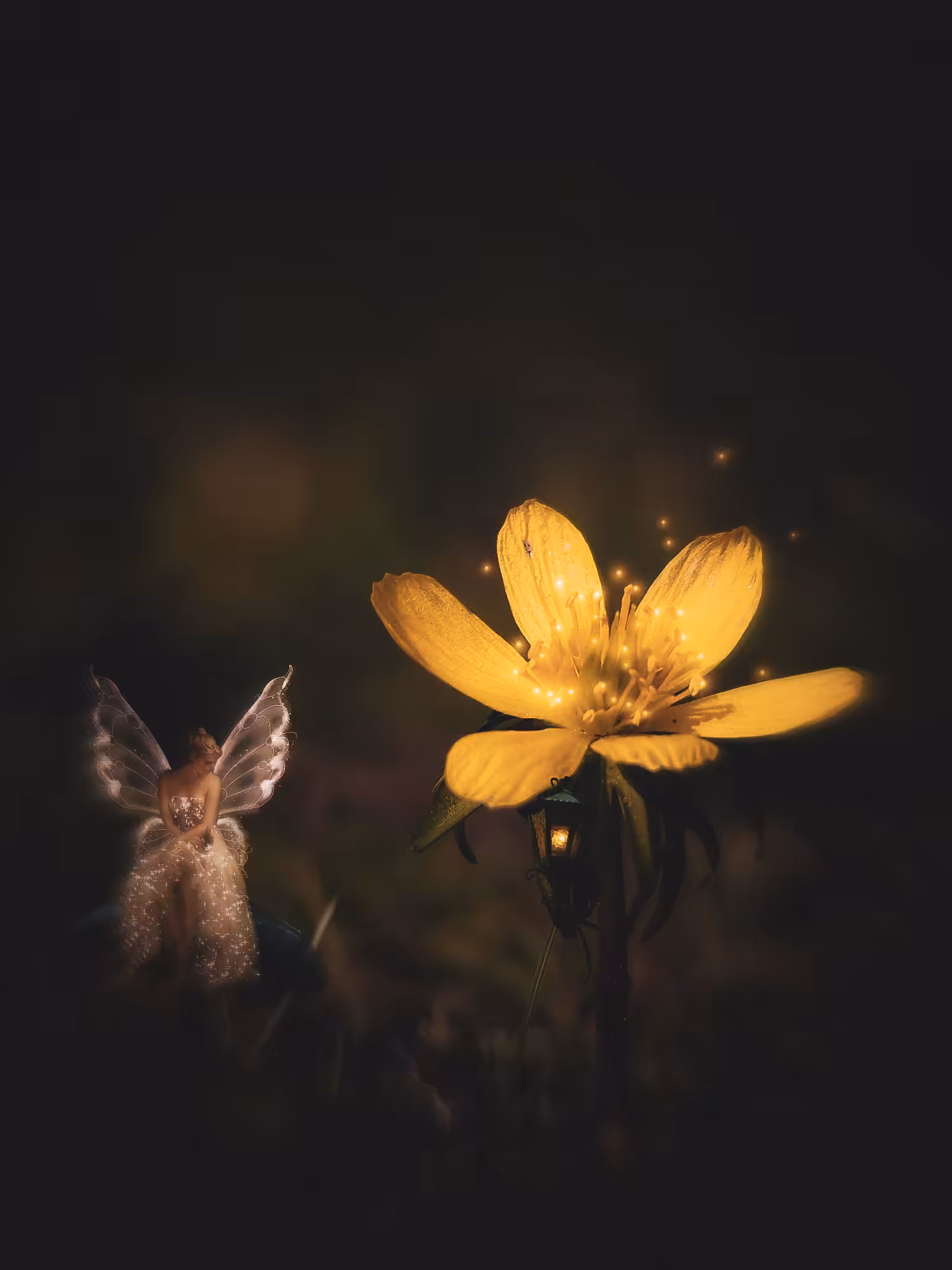 The Dreamer Fairy