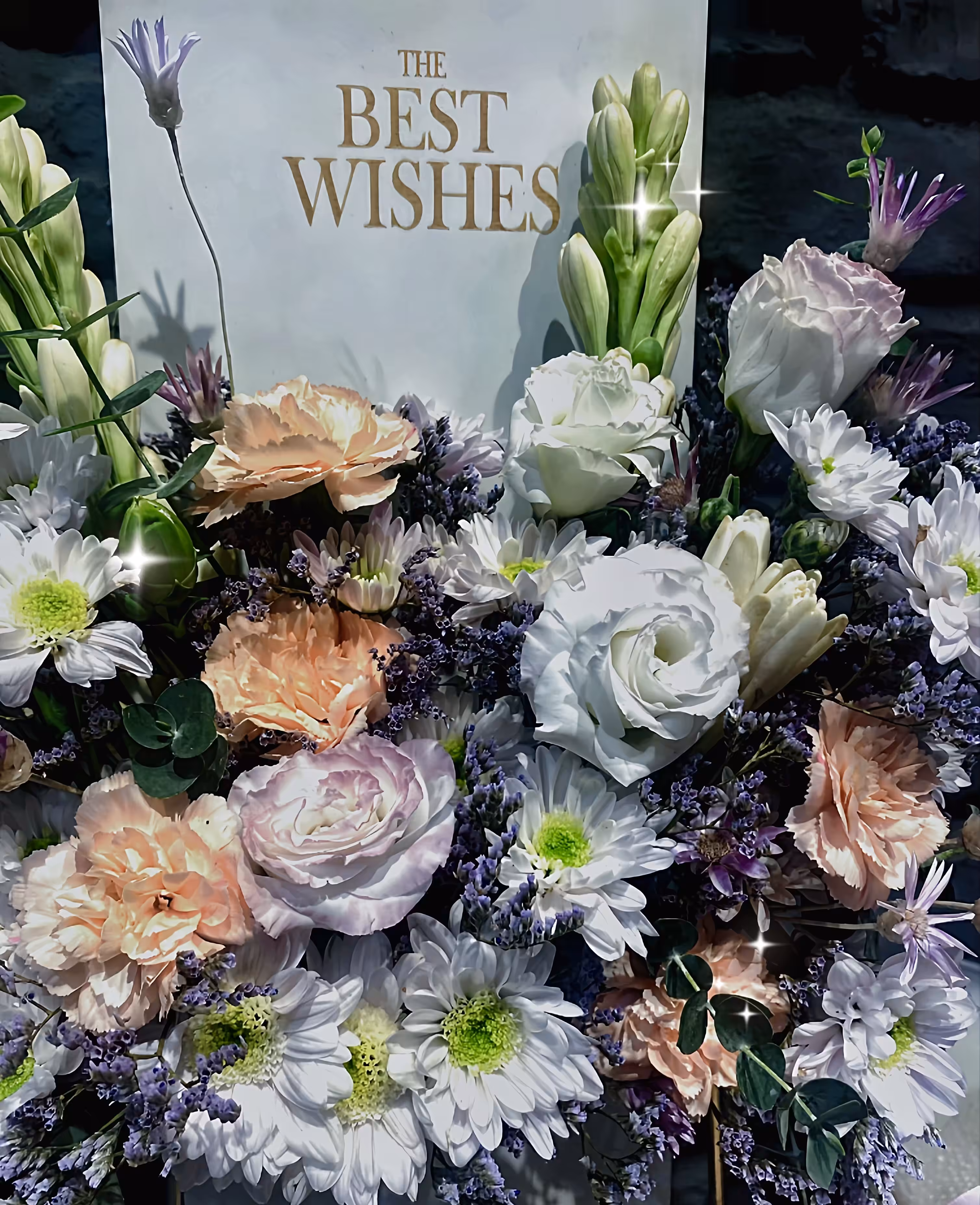 The Best wishes II
