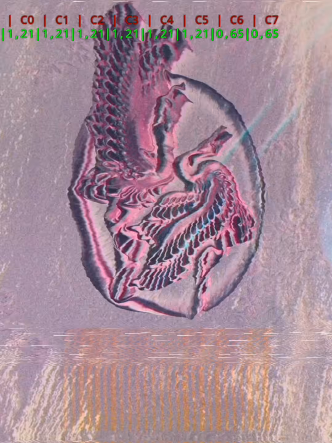 Distordo