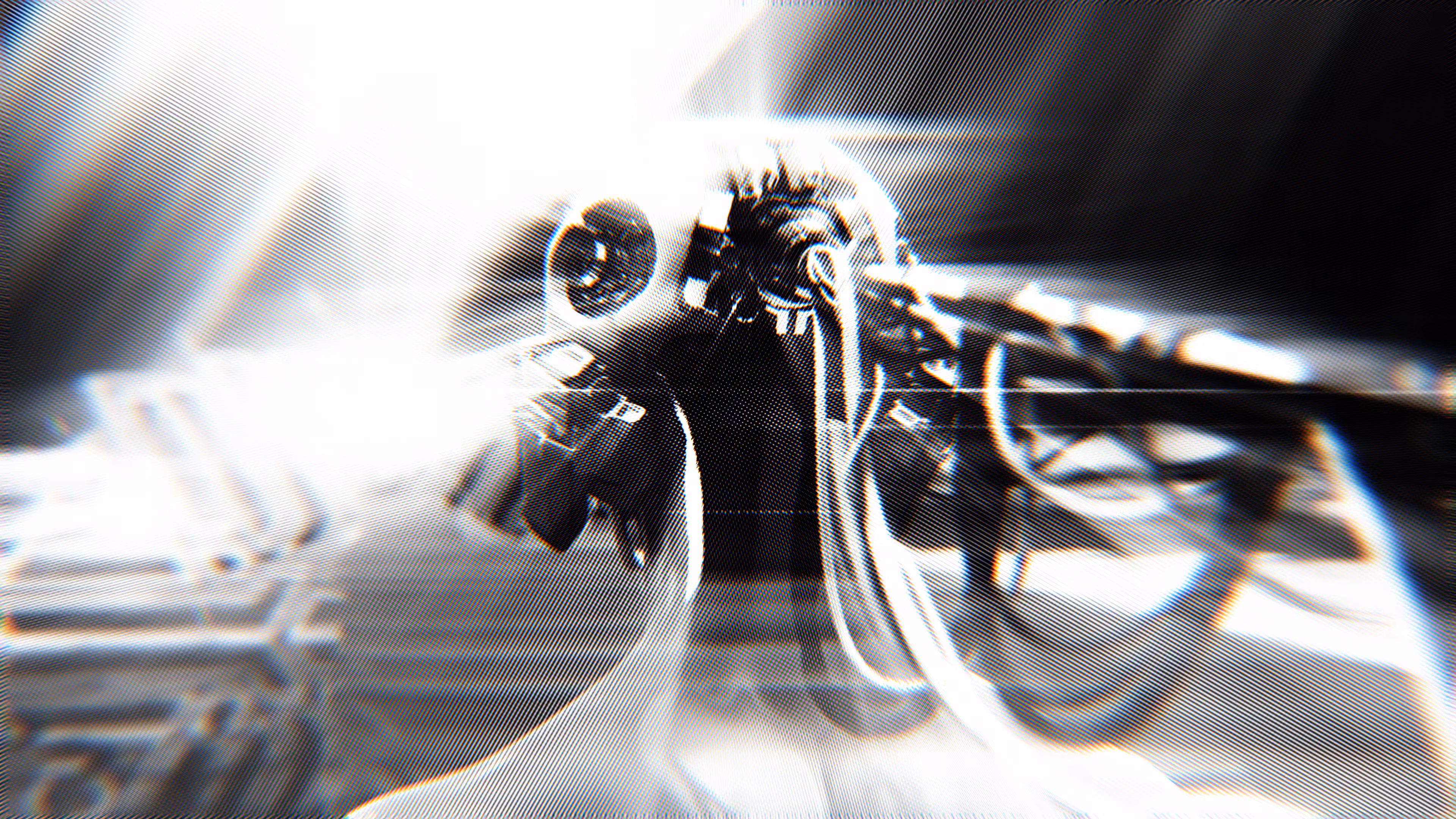 Synesthetic Mono – static F 1/1