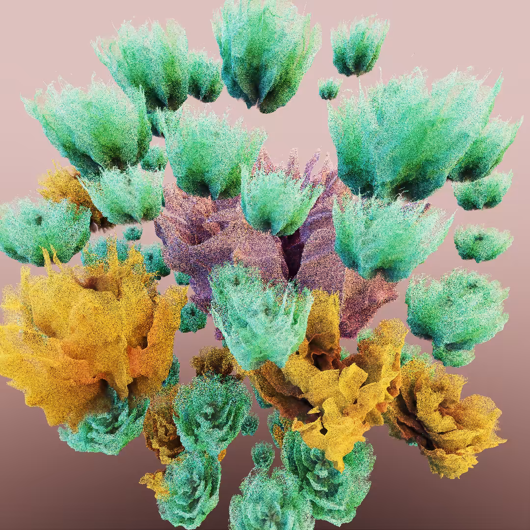rosarium #1