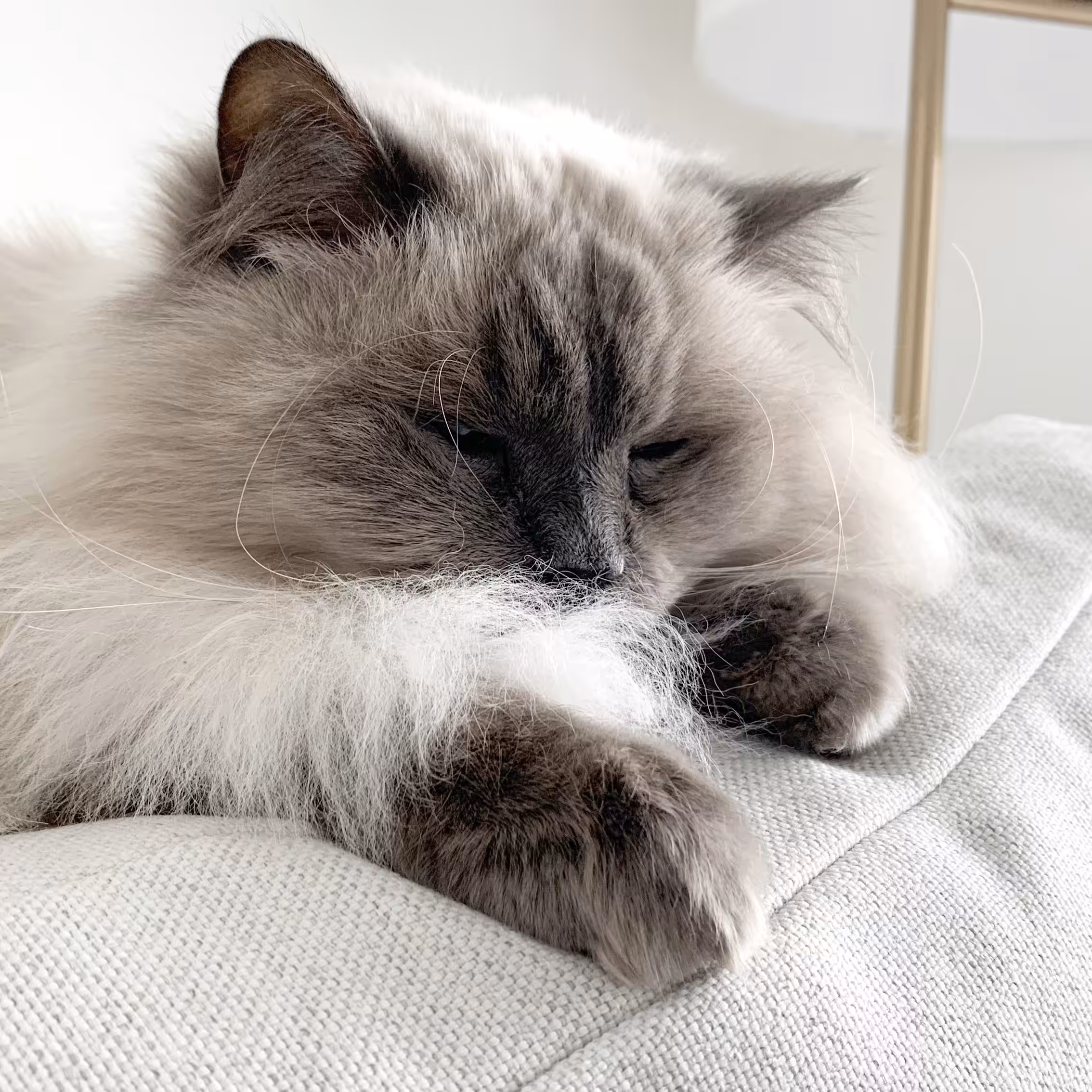 Grumpy days