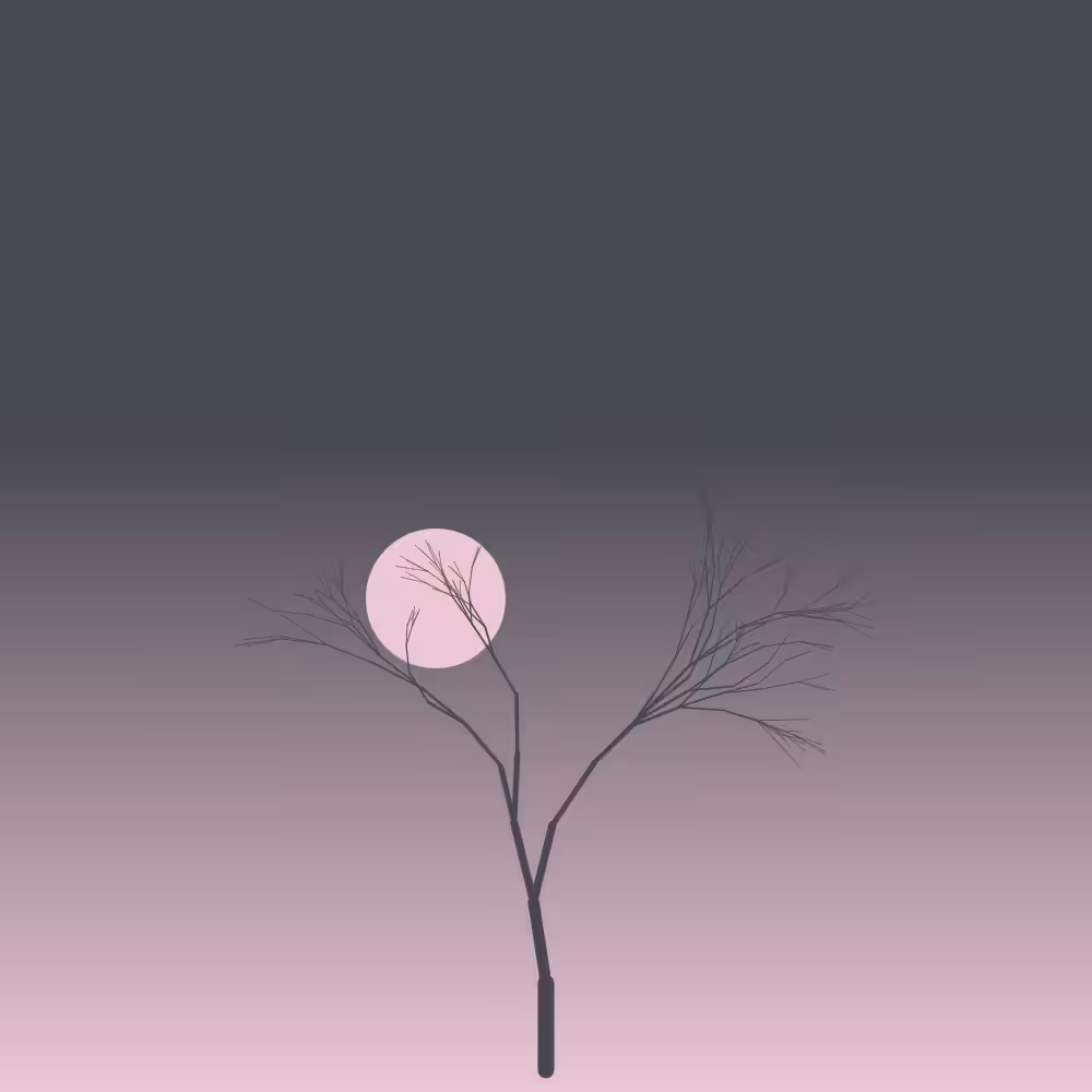 Sakura at night #35