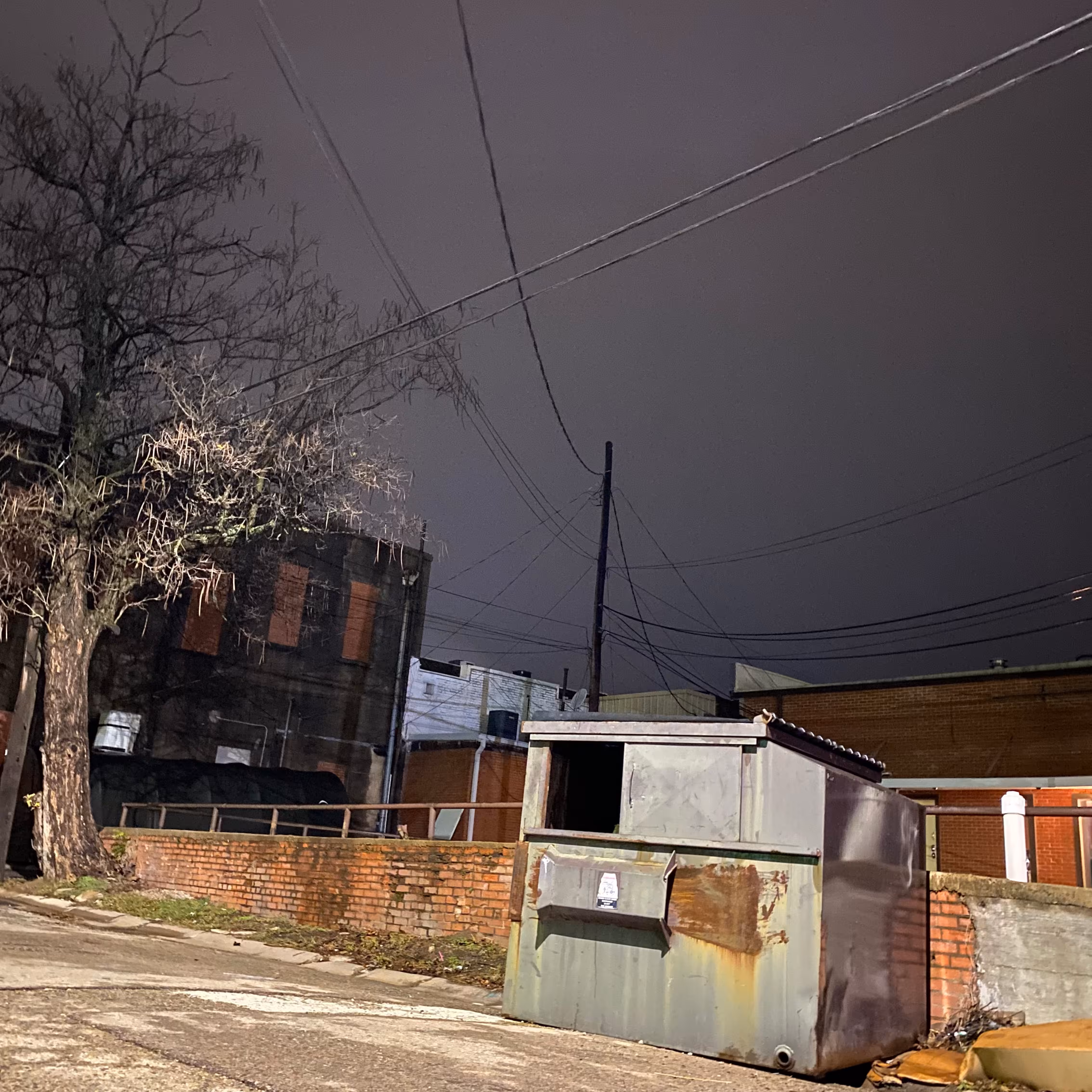 Trash Fog Night