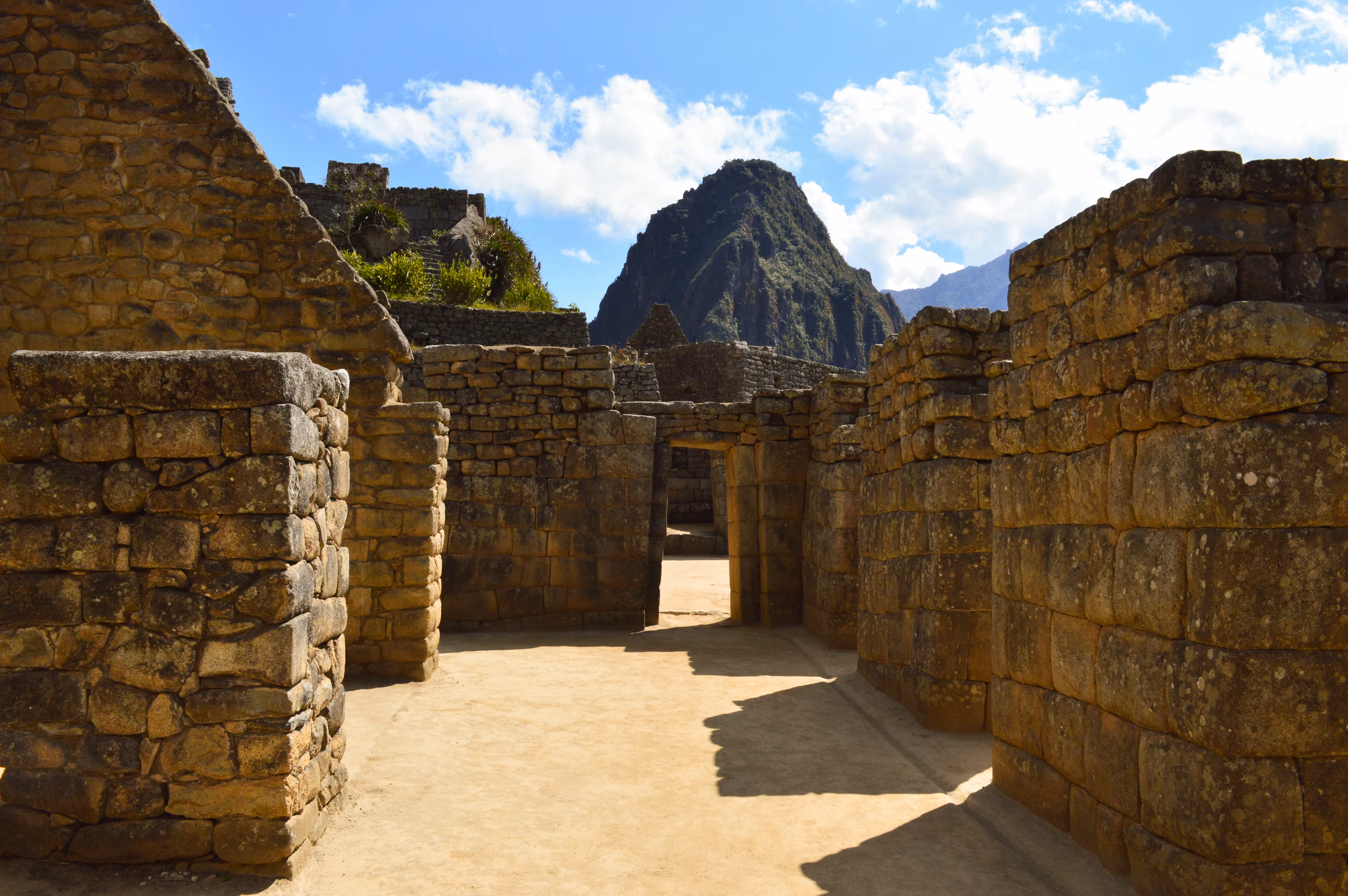 Around the world  with GingerBeard: The lost City of the Incas