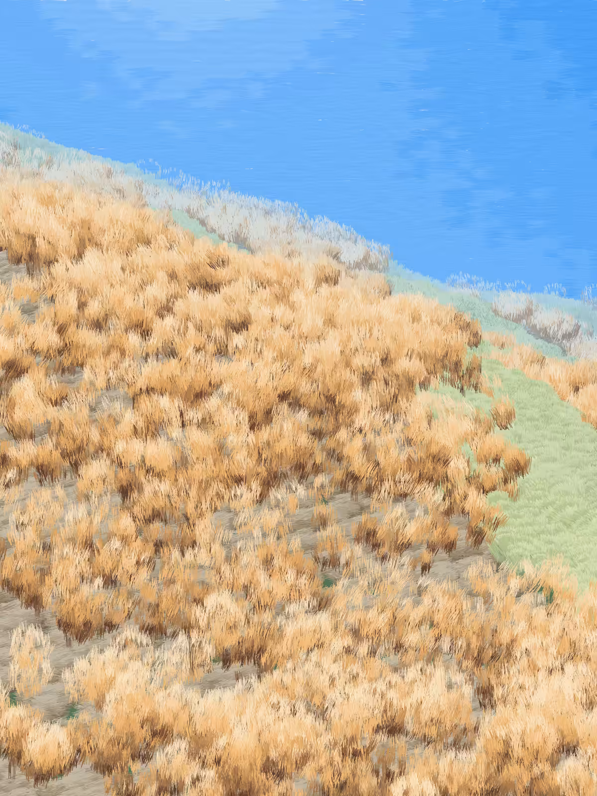 Provence #462
