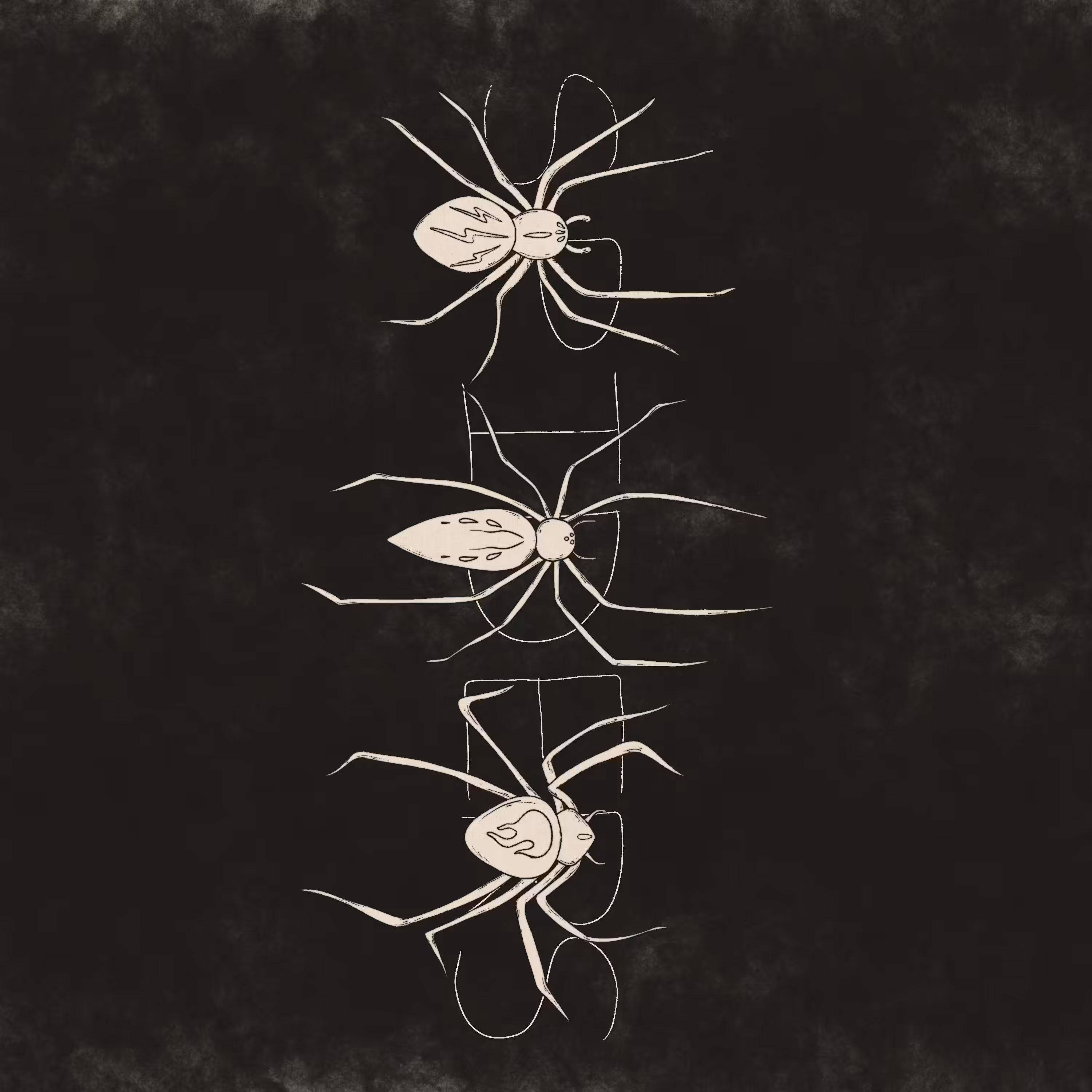 SPIDERS
