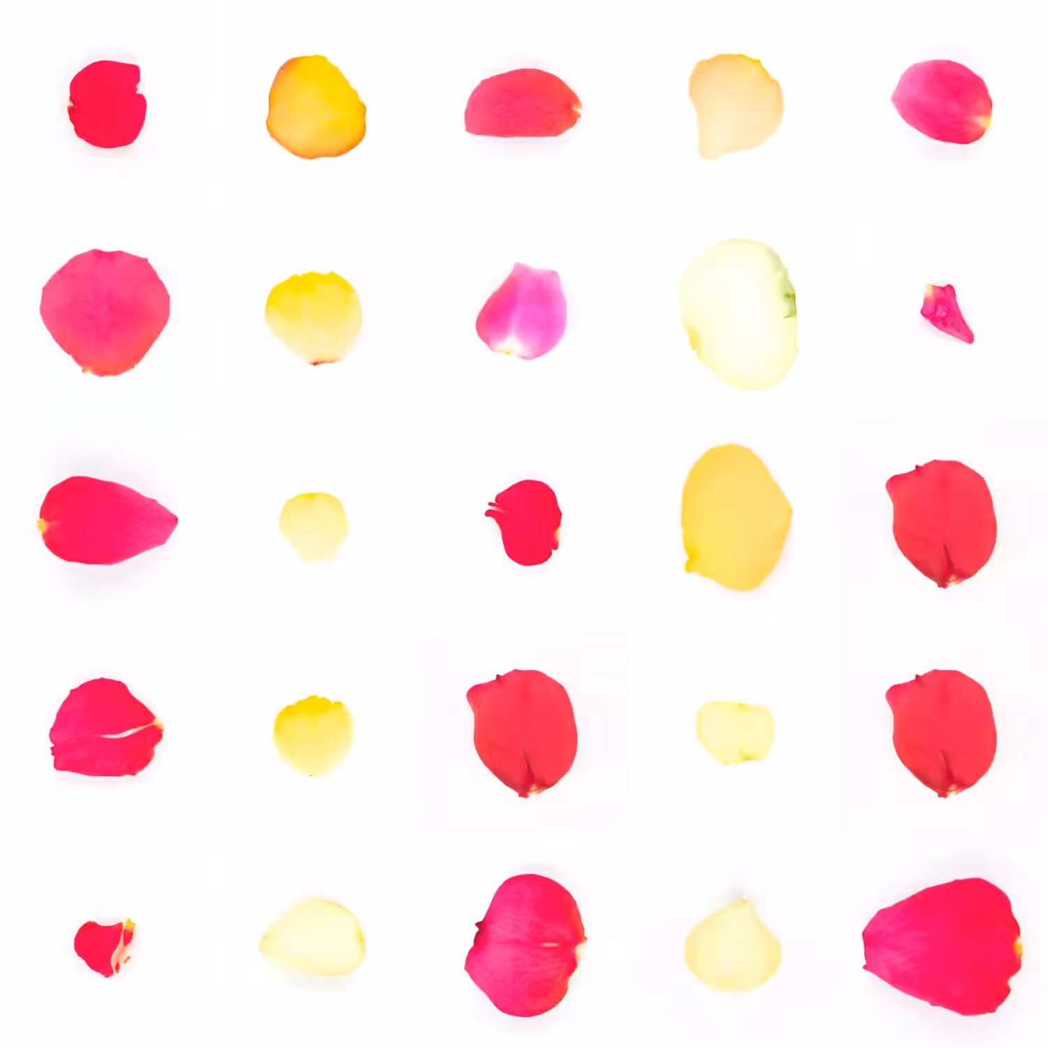 Infinite Petals 5x5#20105