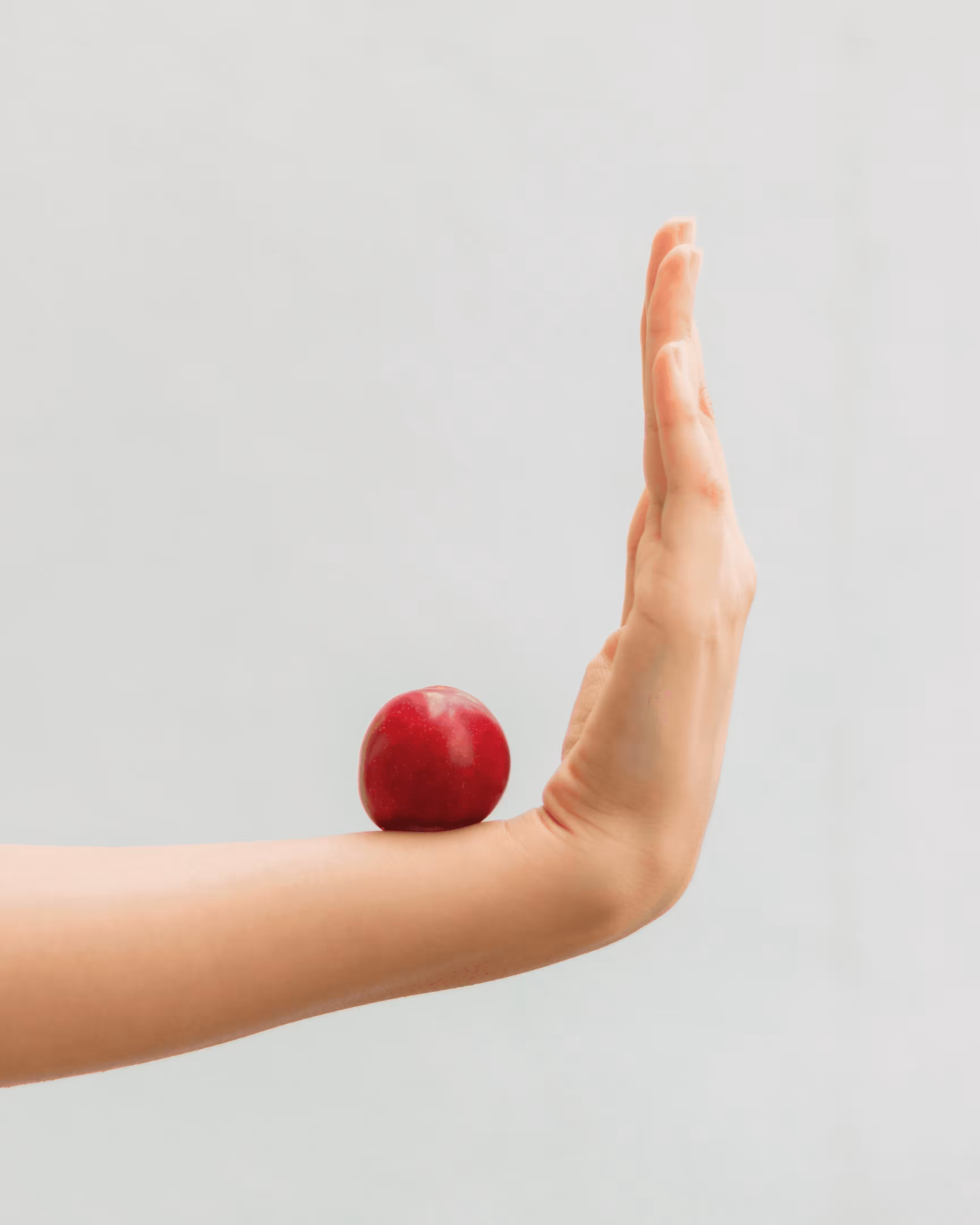 Hands Lingo 1.0