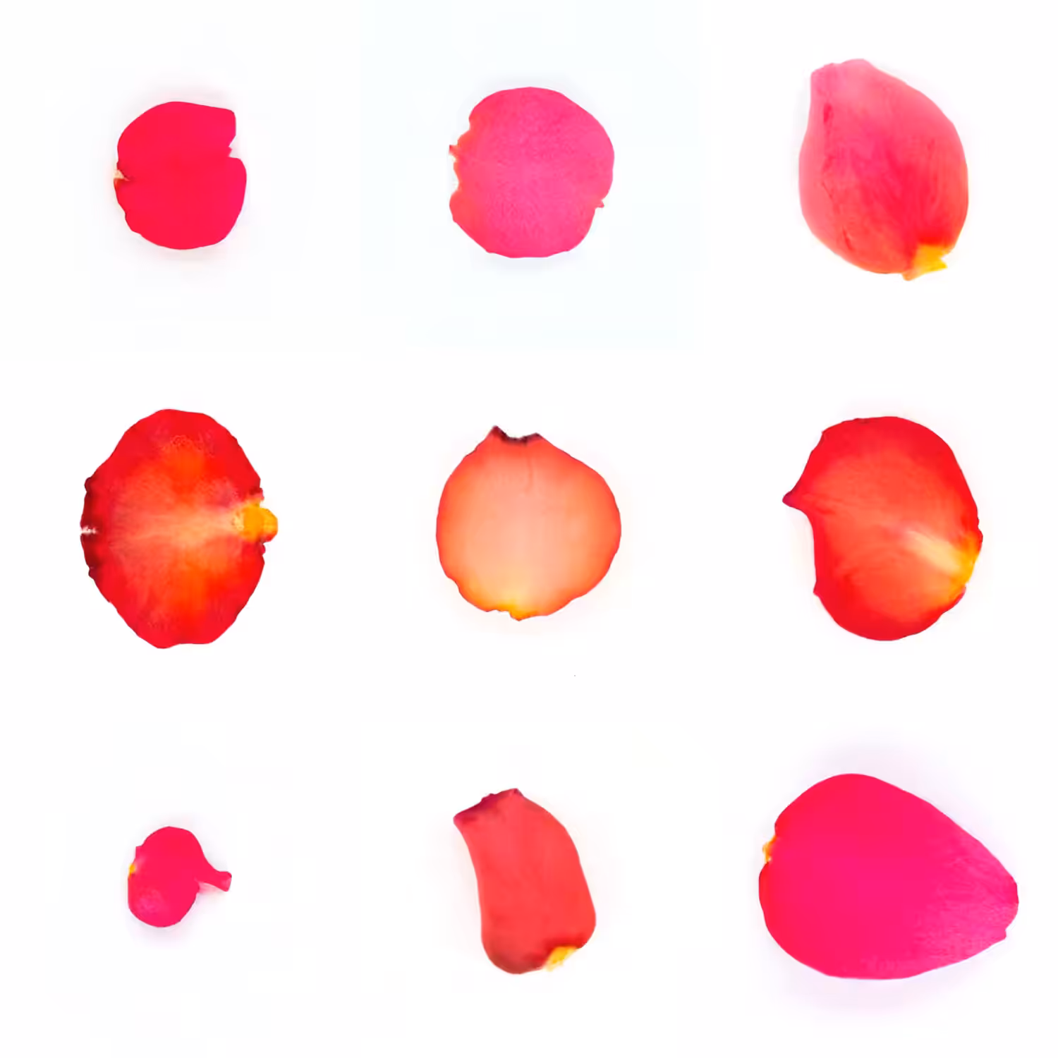 Infinite Petals 3x3#3163