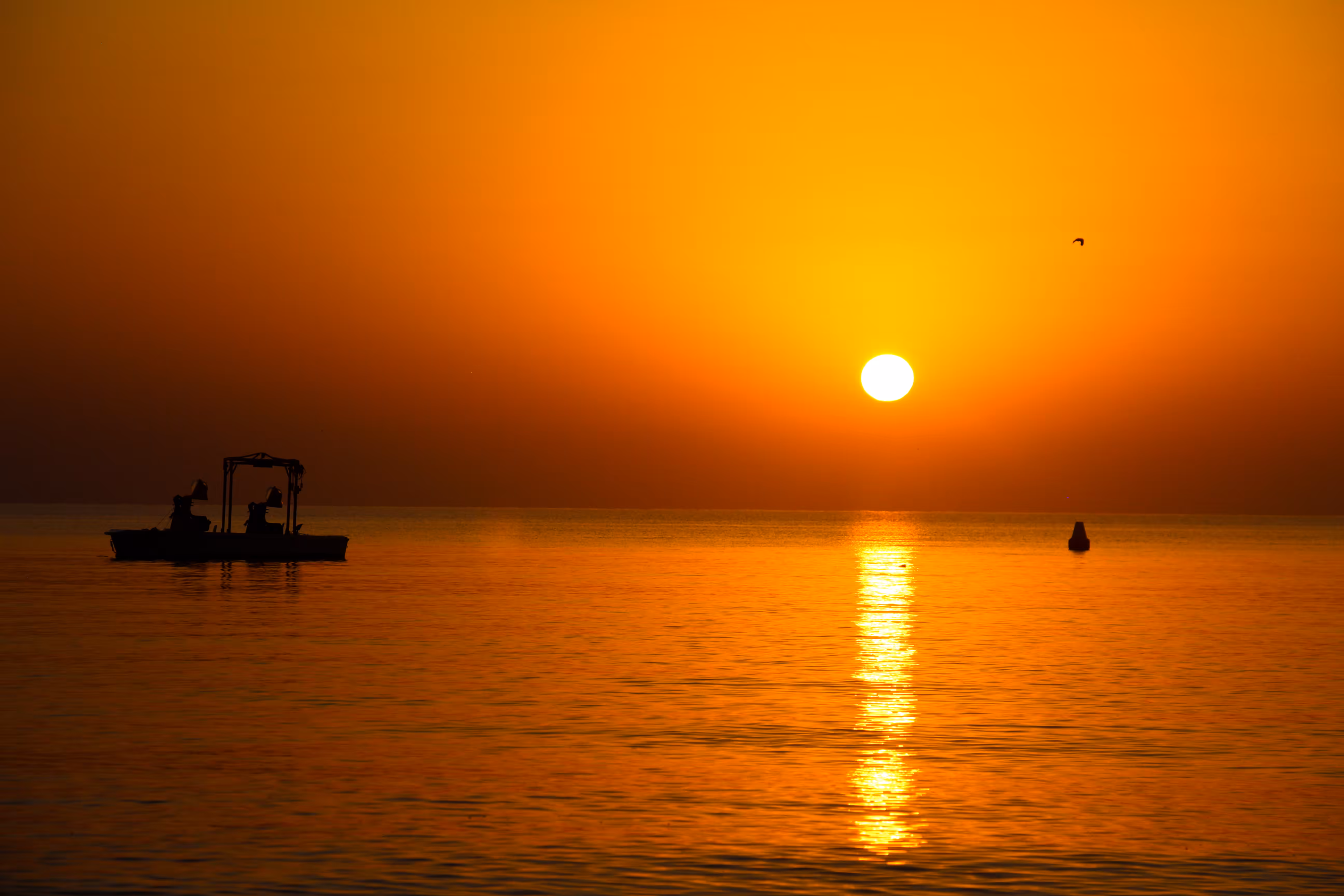 Golden Horizons