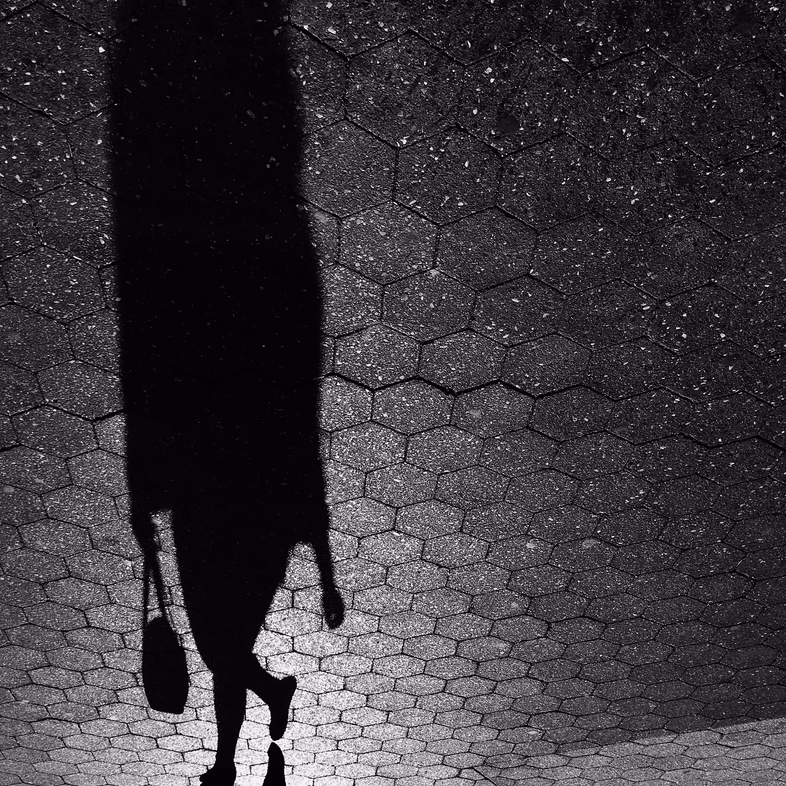 The walking shadow