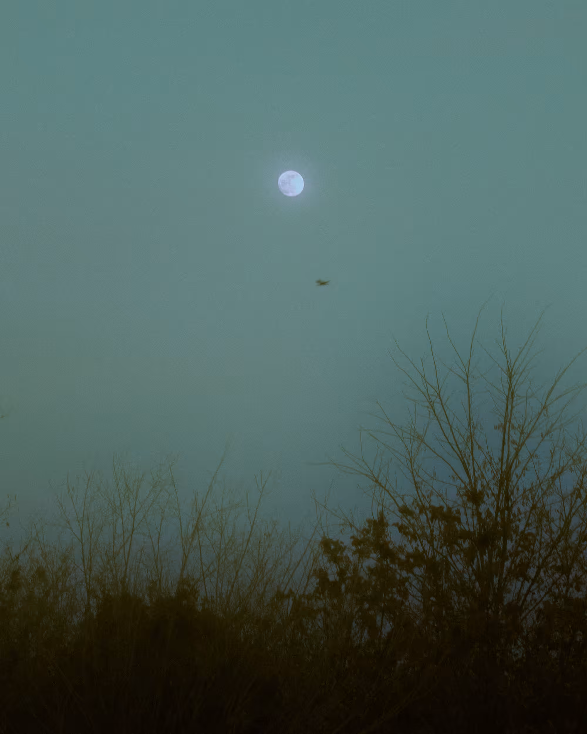 Moon on the Run