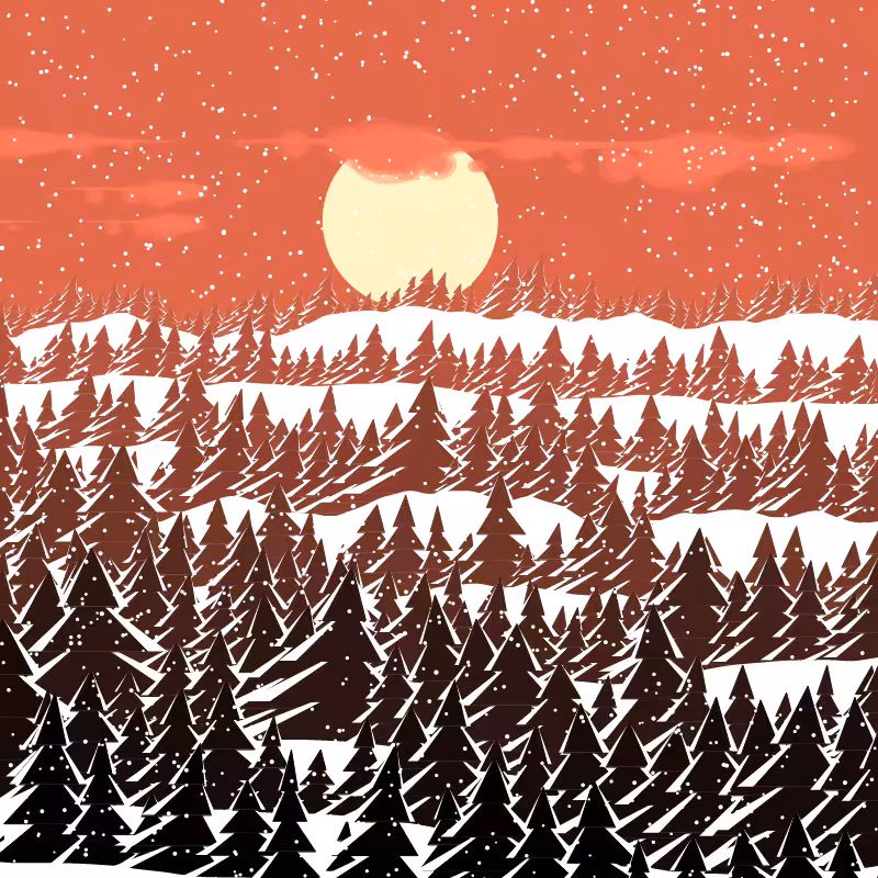 Winterland #18
