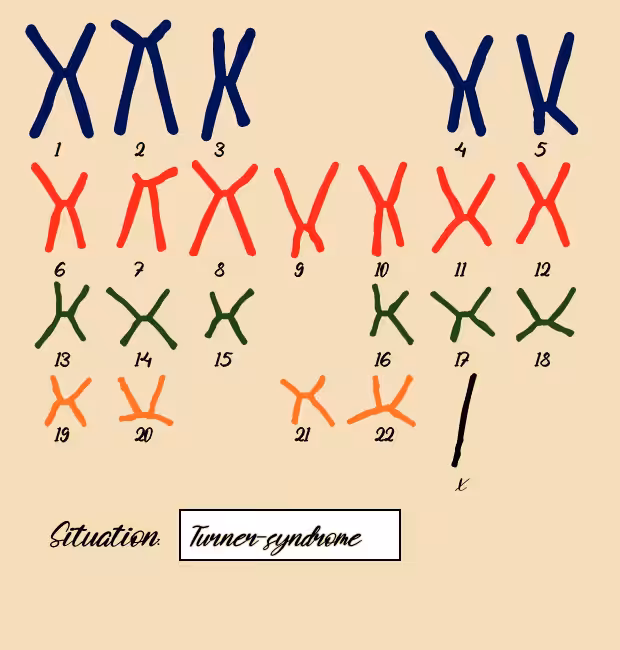 "Karyotype" #12