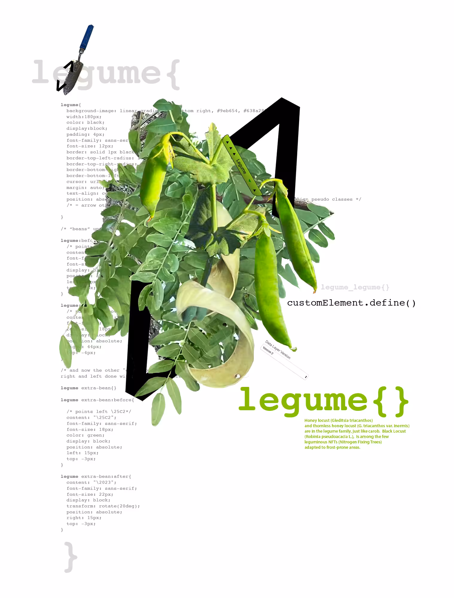 legume{}
