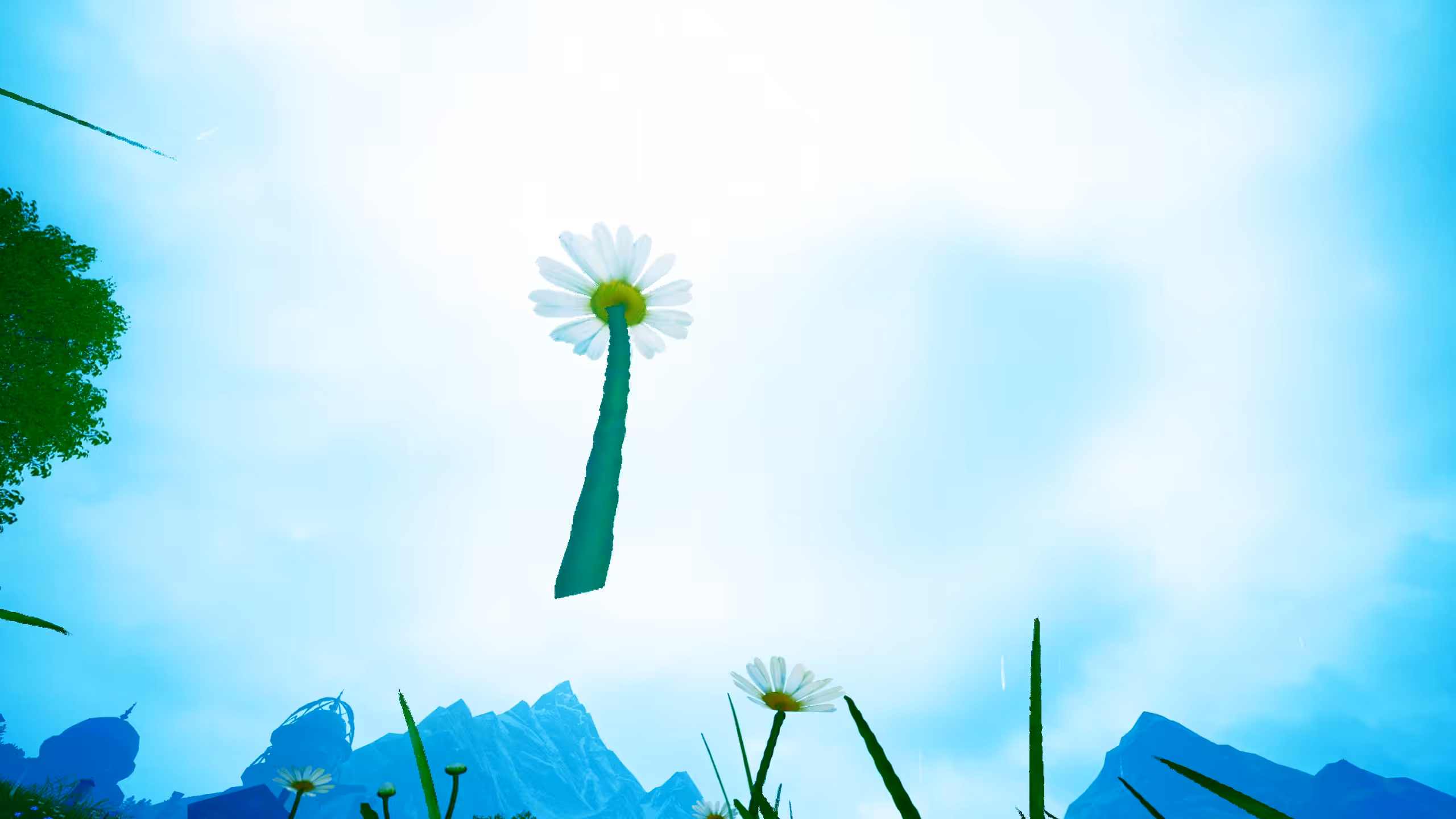 2024 12 27 18 18 33 2239012 (Daisy_2)