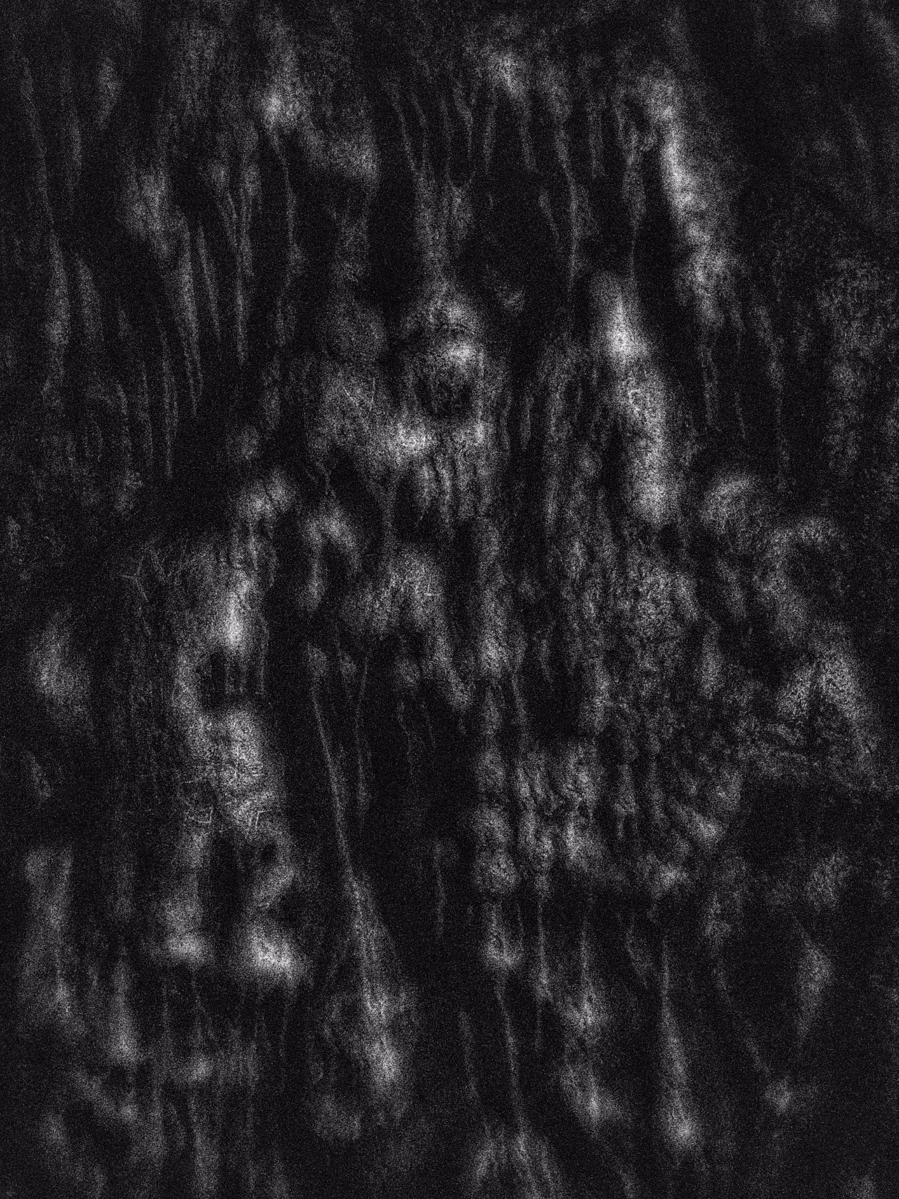 Screams & Whispers II