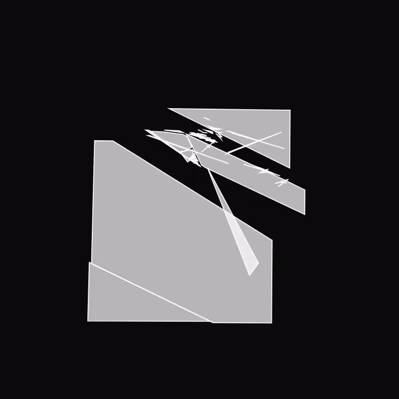 Fracture #110