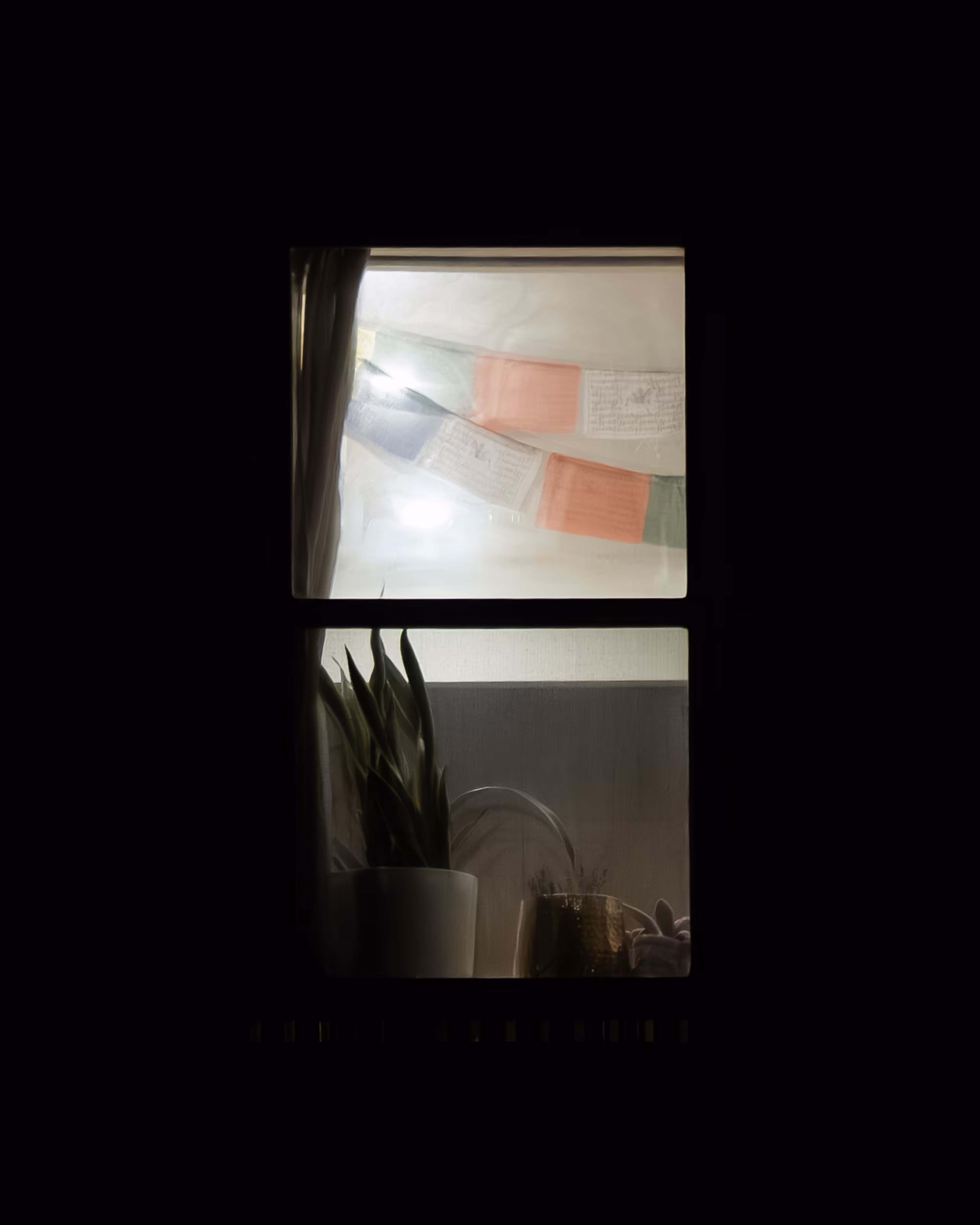 WINDOWS // NYC: WINDOW 877
