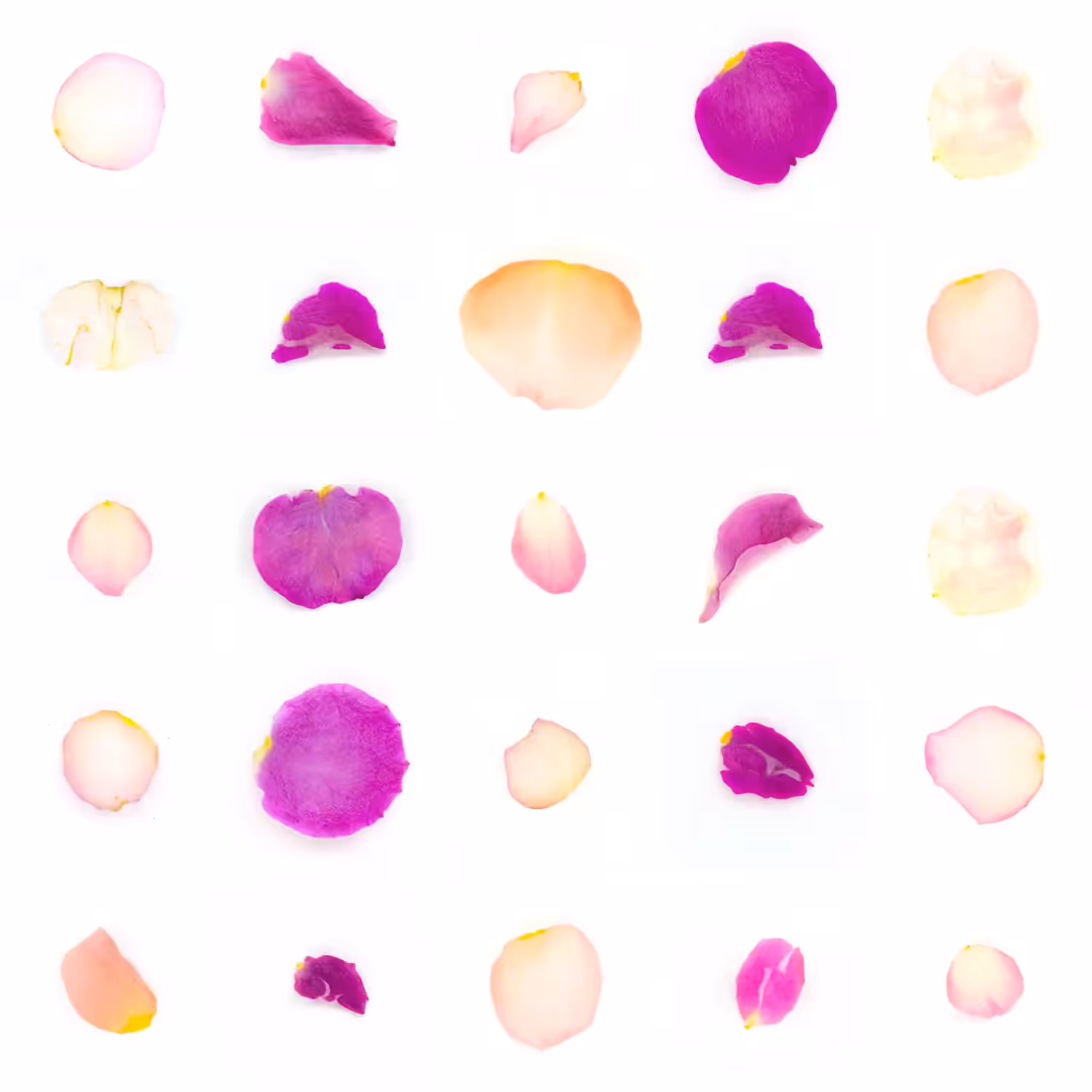 Infinite Petals 5x5#20892