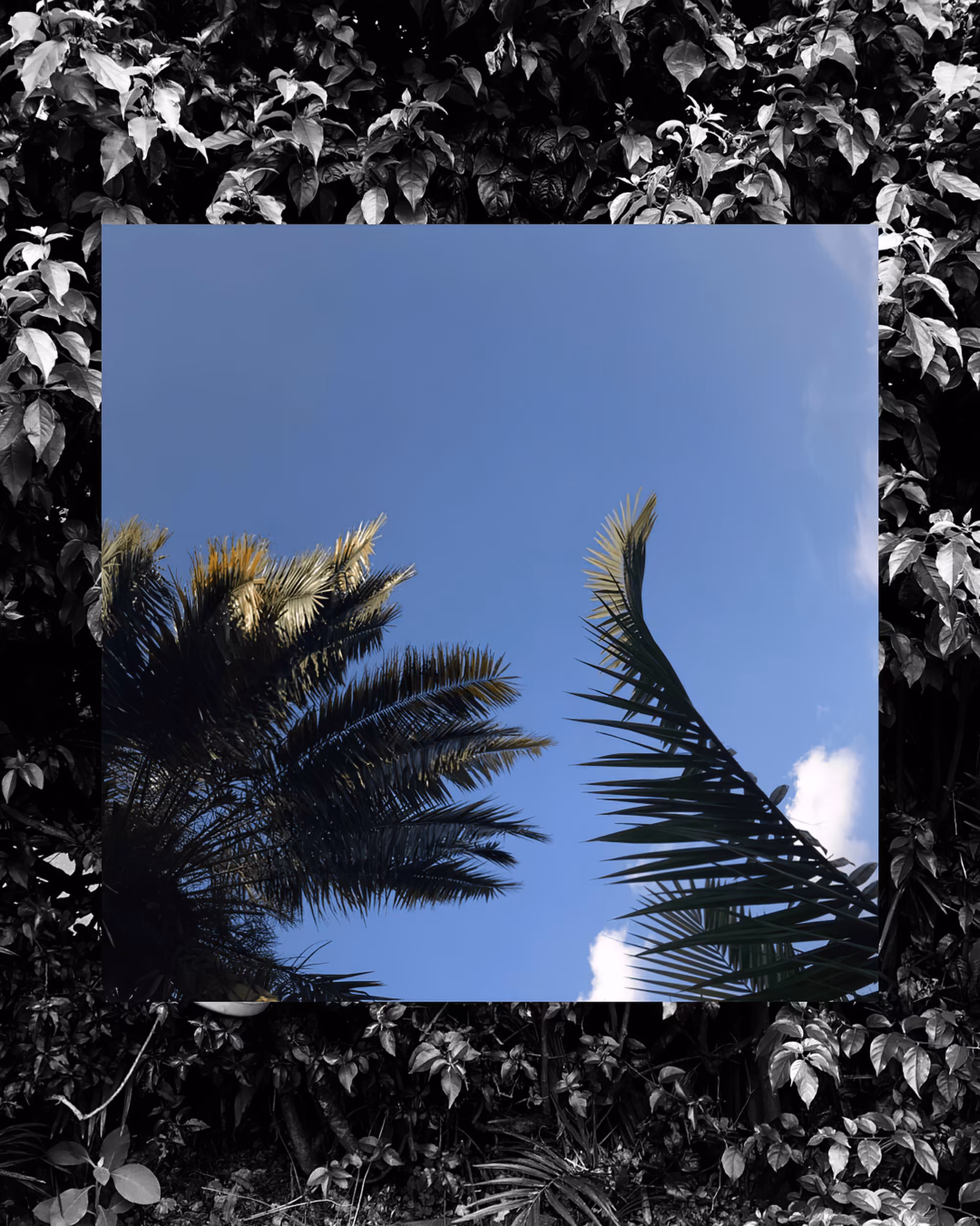 Overlapse #2