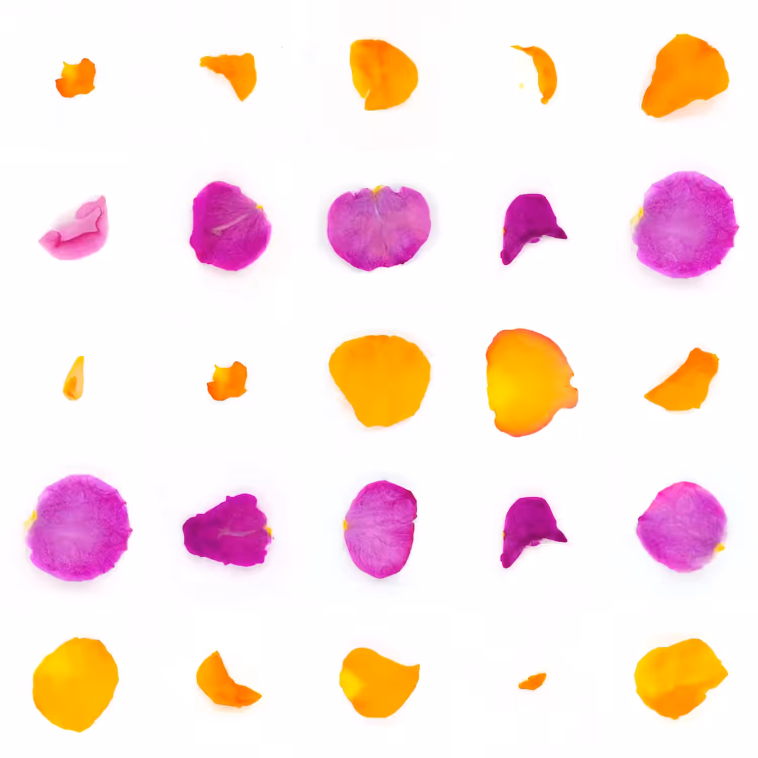 Infinite Petals 5x5#20719