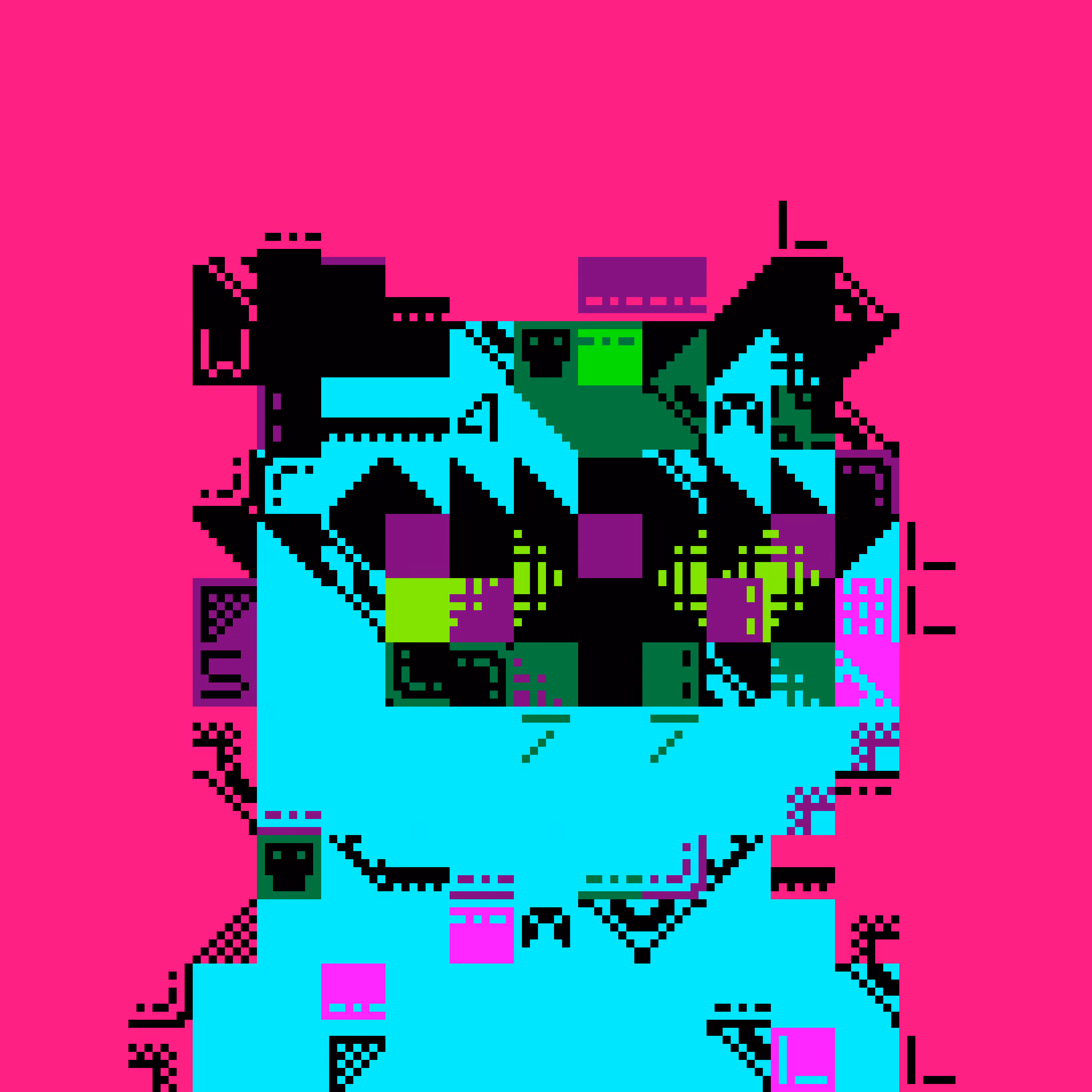 MIGGLES ON ASCII: OverflowHunter