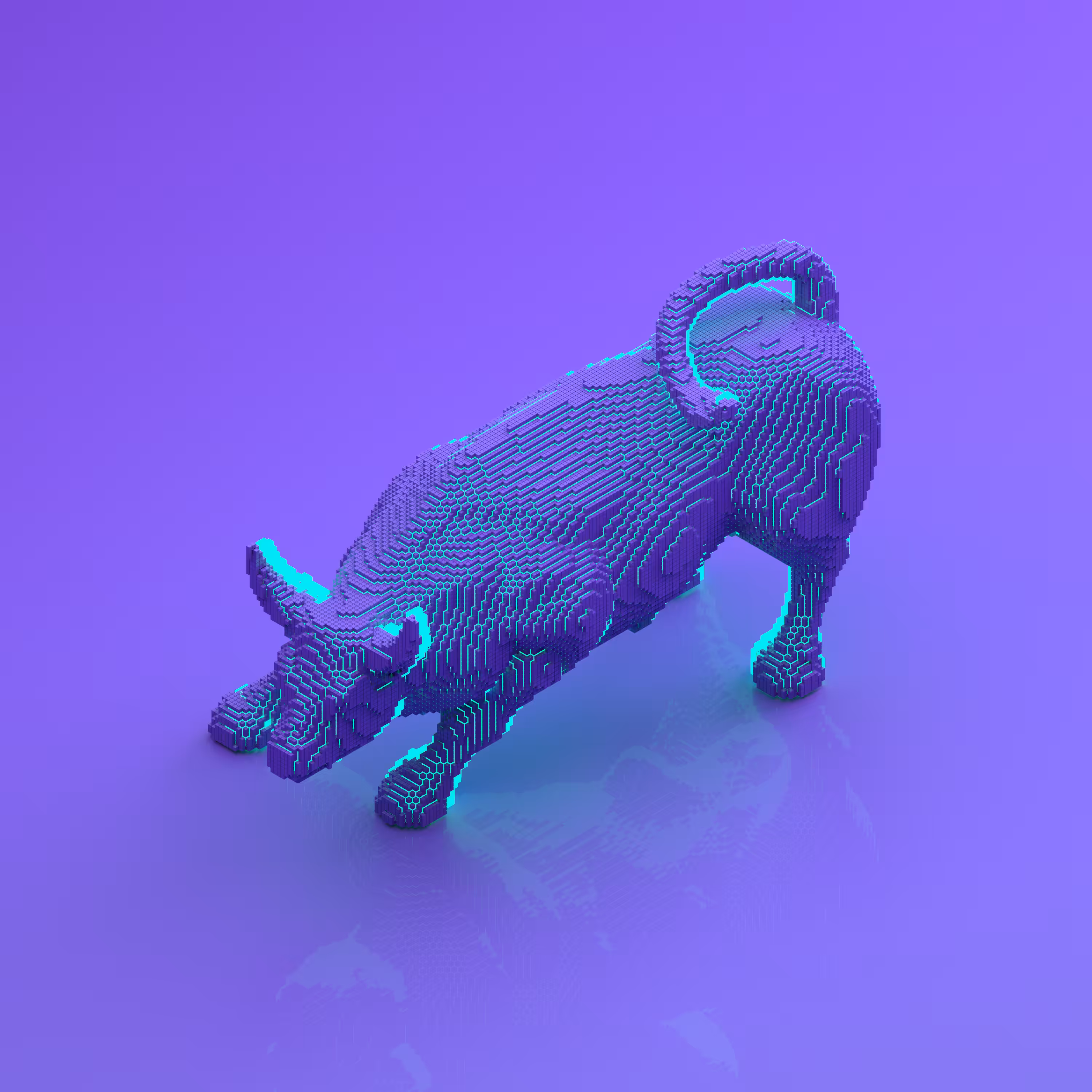 NEOBULL