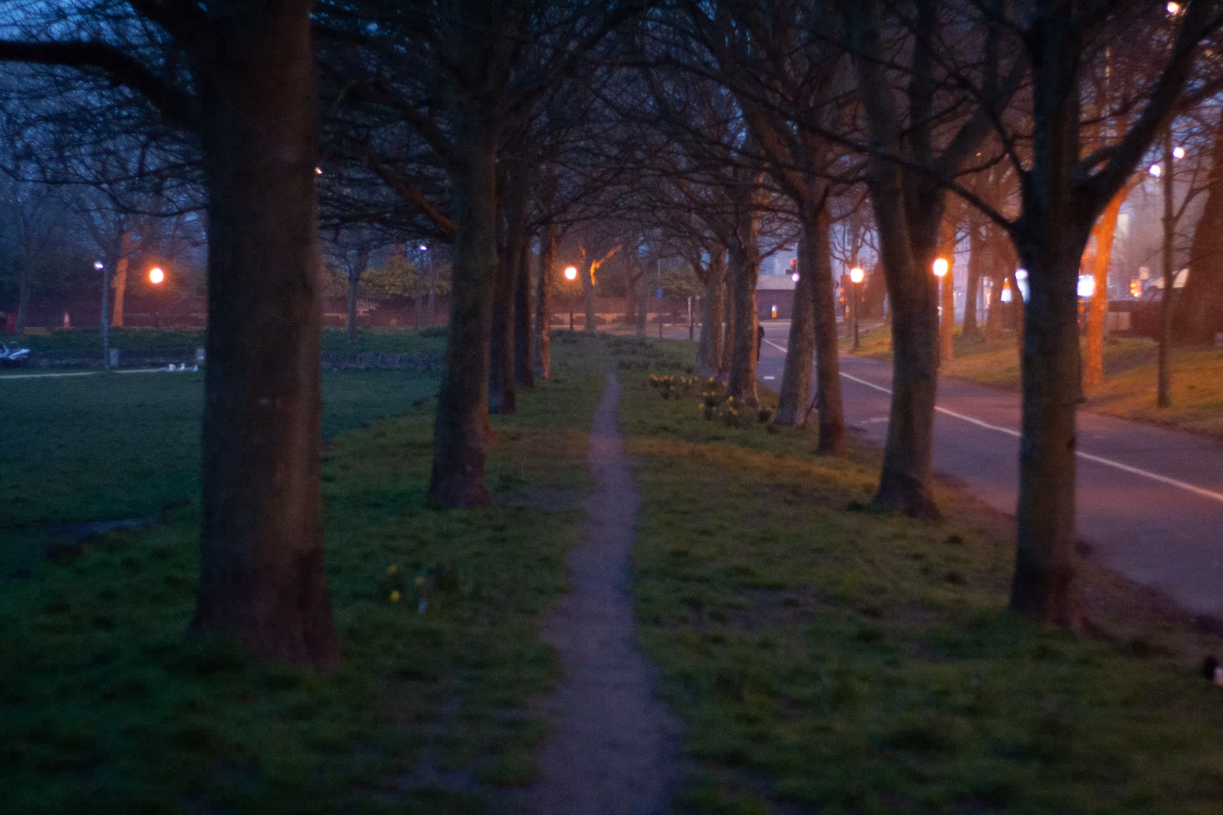 Desire Lines, Fallen Gift
