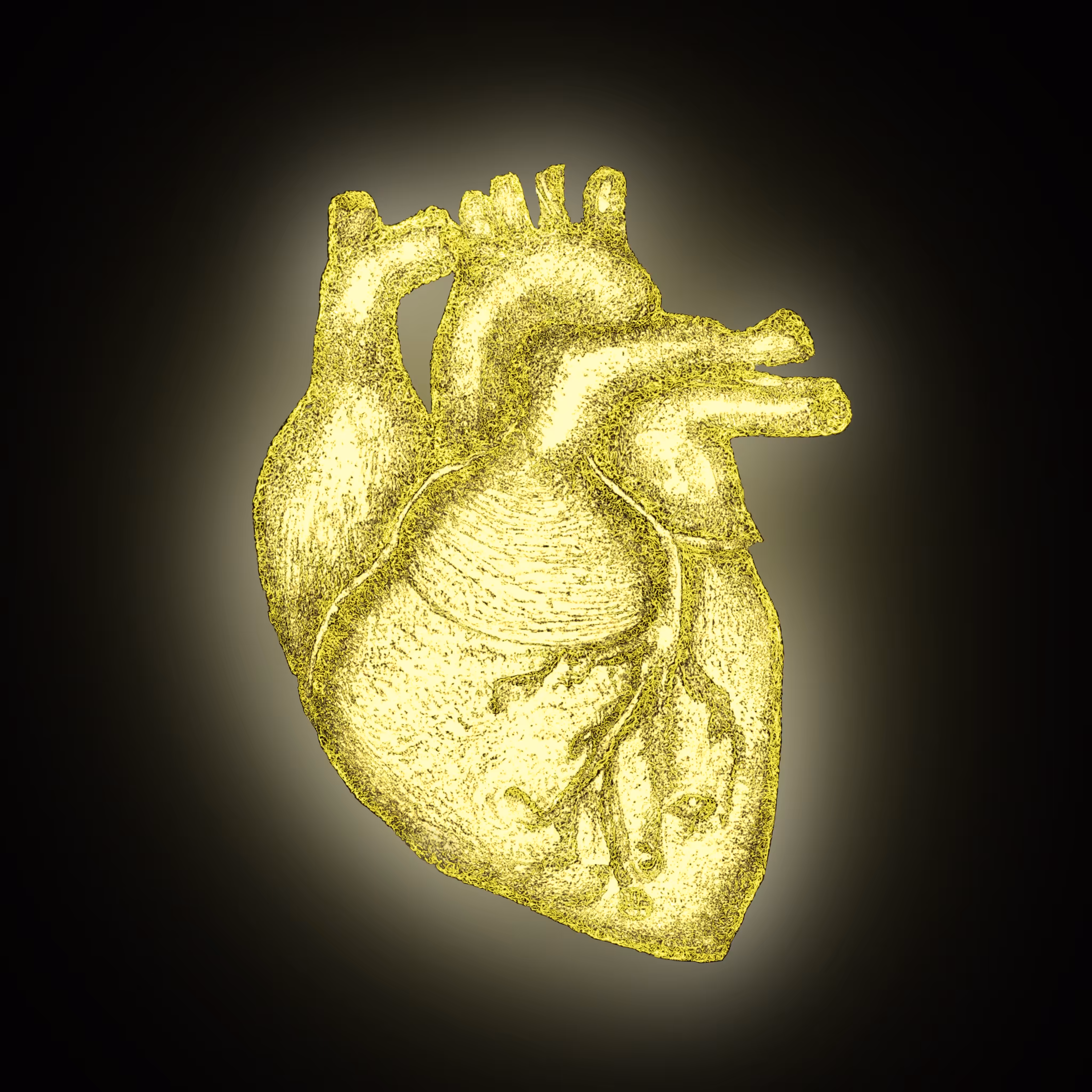 Heart of Gold III