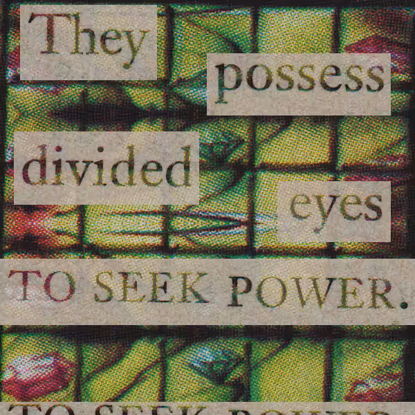 divided eyes