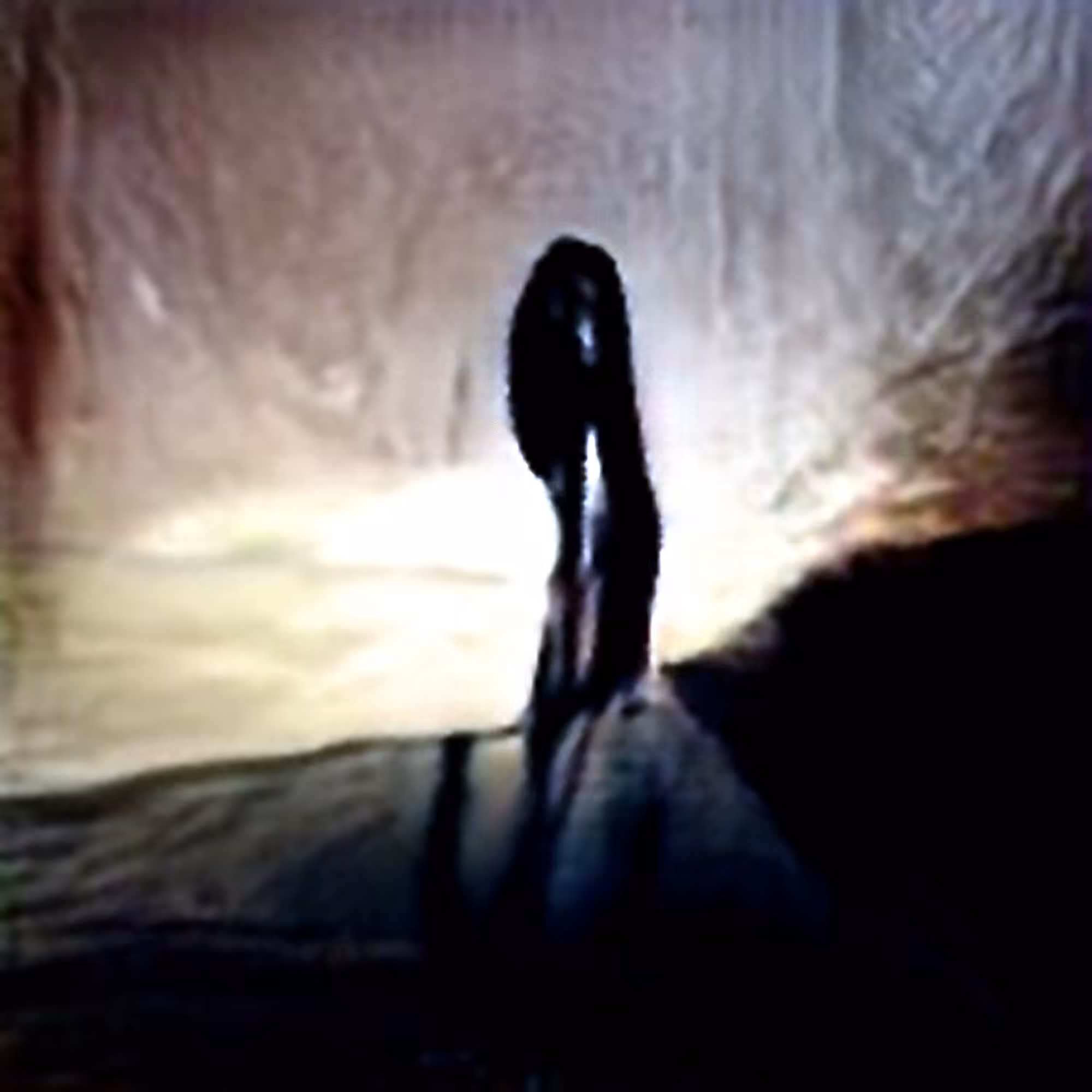 Shadow #4 (Corpus: Things That Exist Negatively)