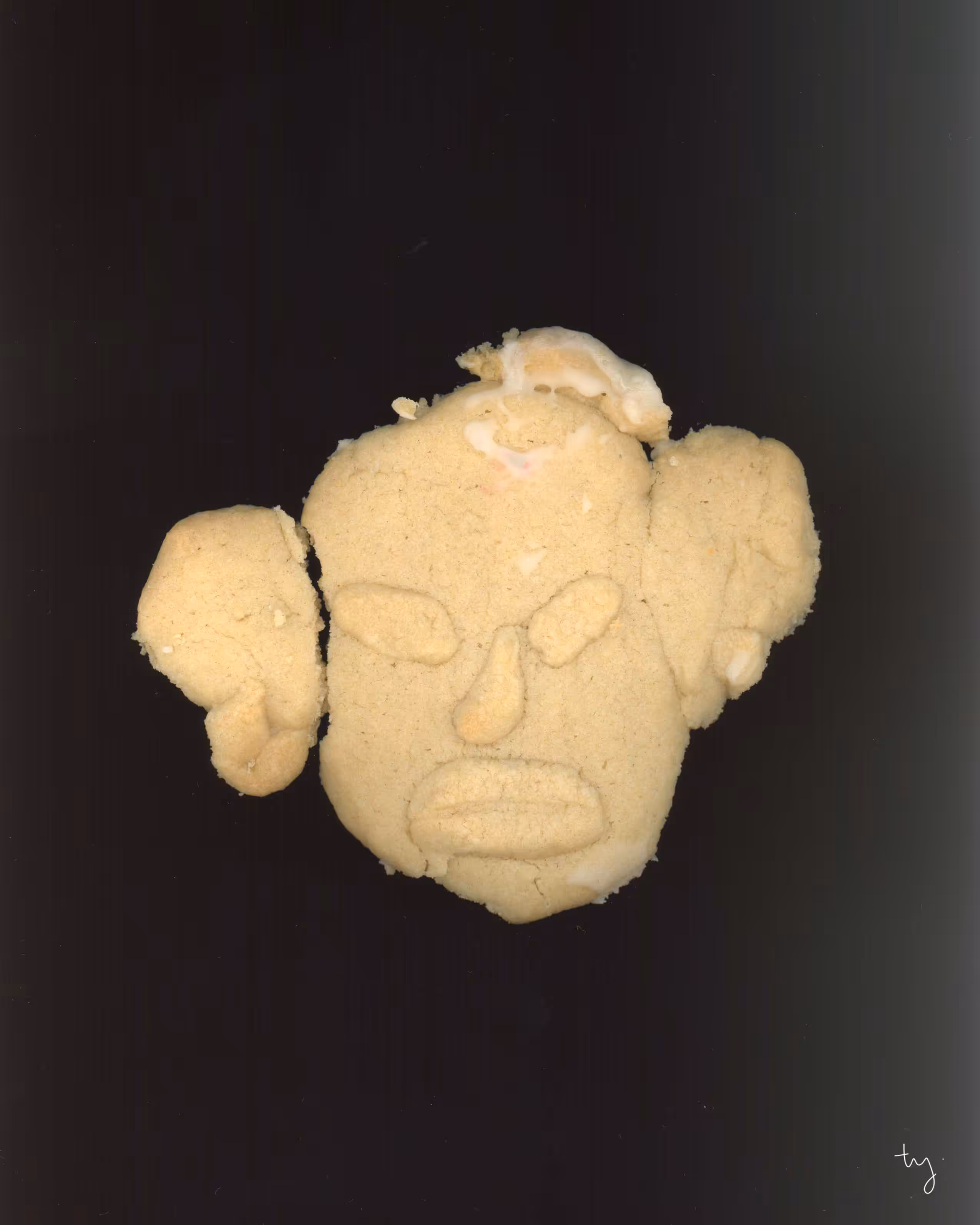 THE CHRISTMAS COOKIE 2021