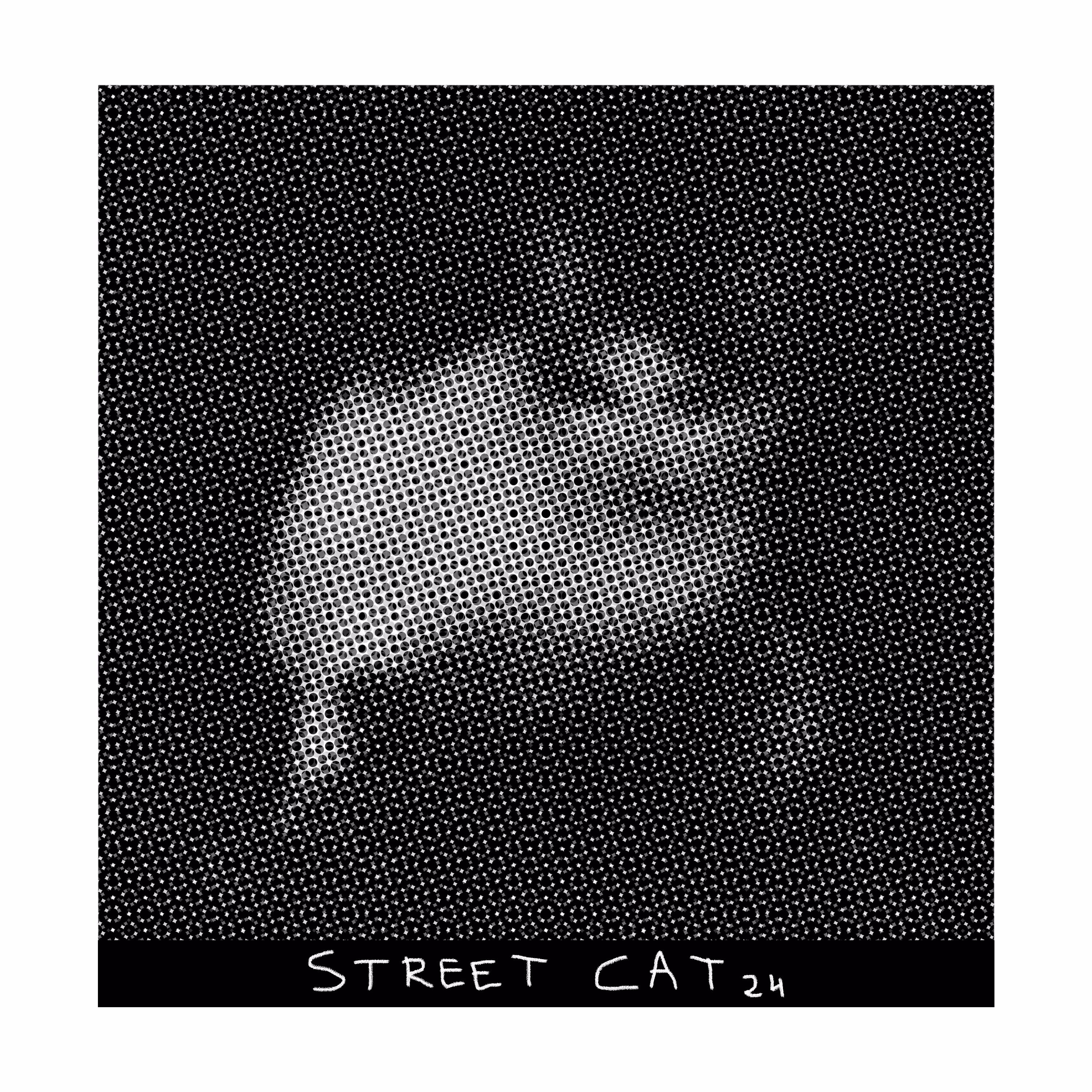 street cat 24