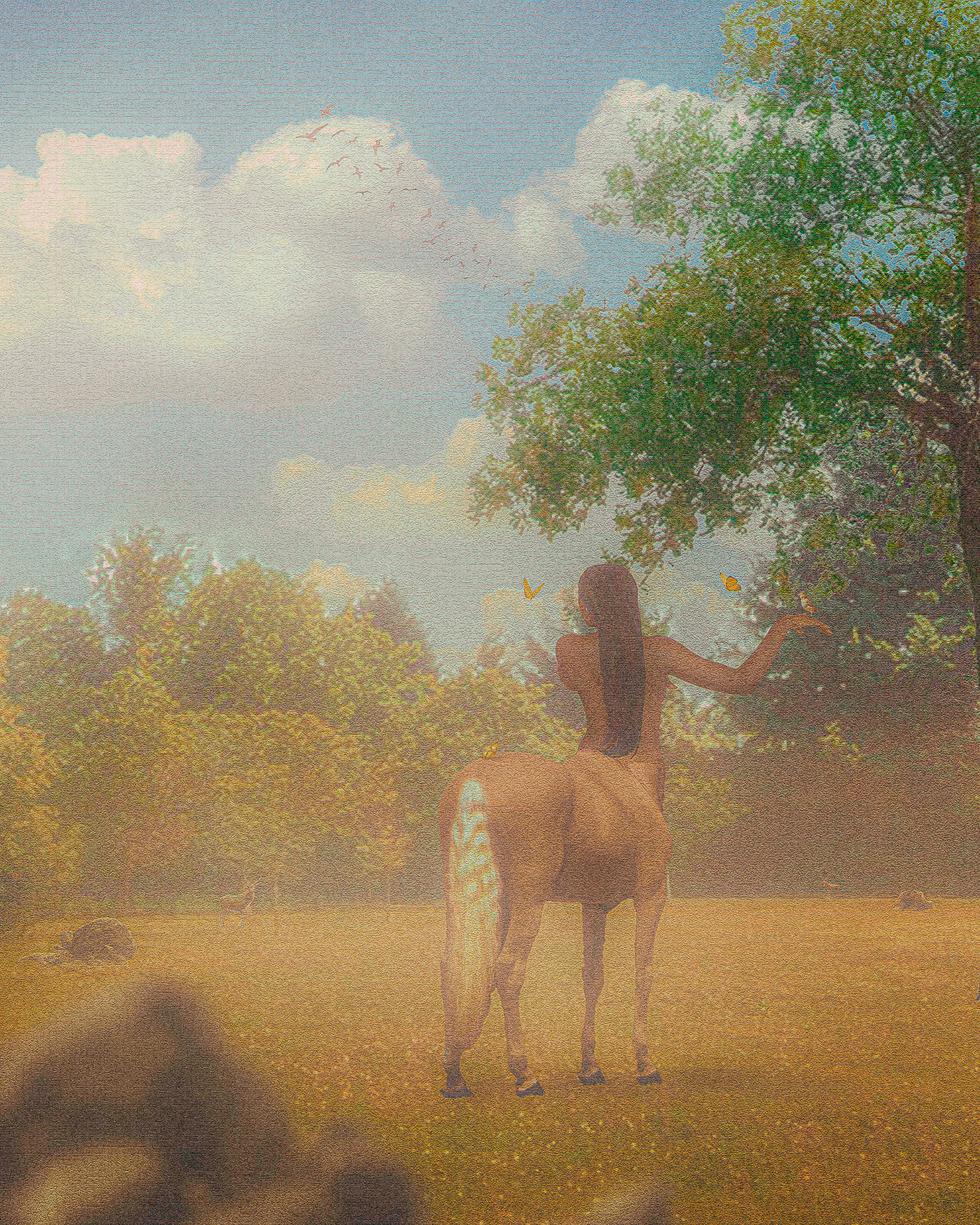 THE FOREST MAID