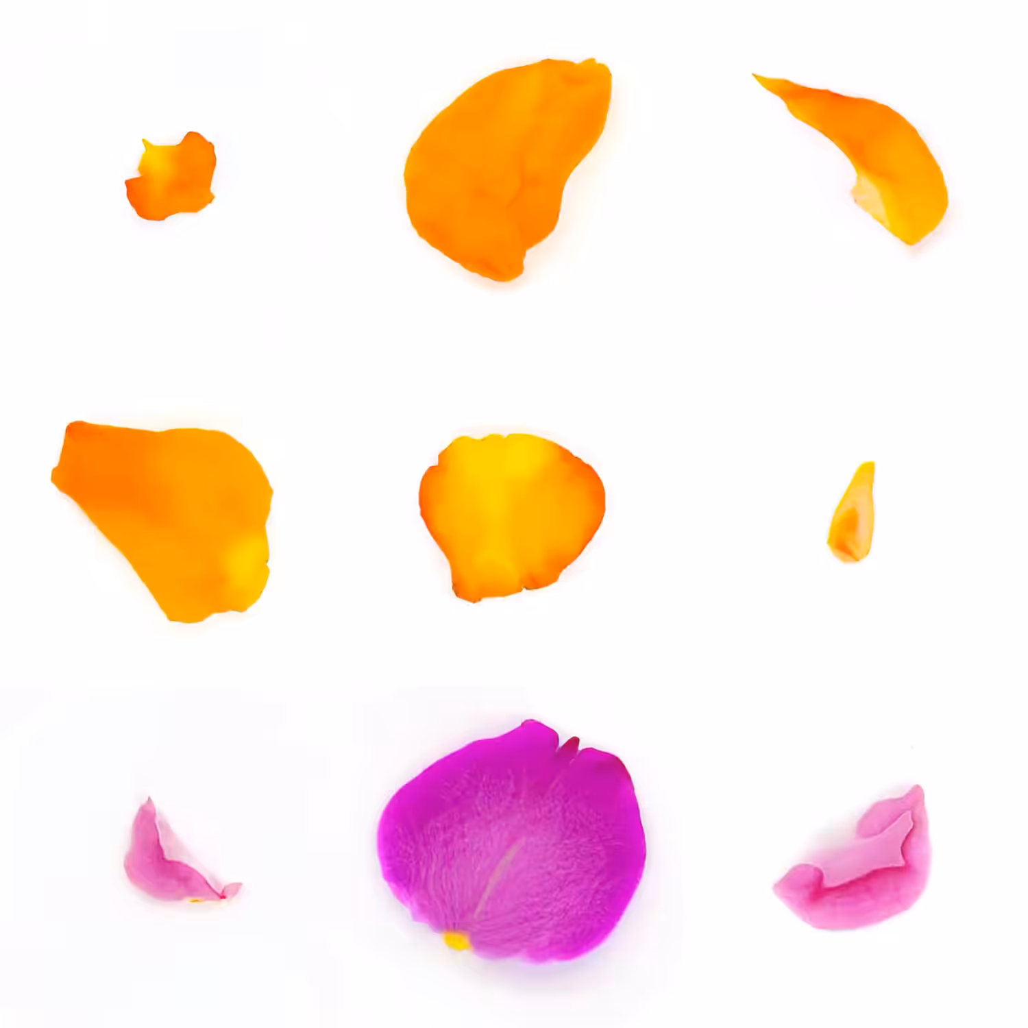 Infinite Petals 3x3#663