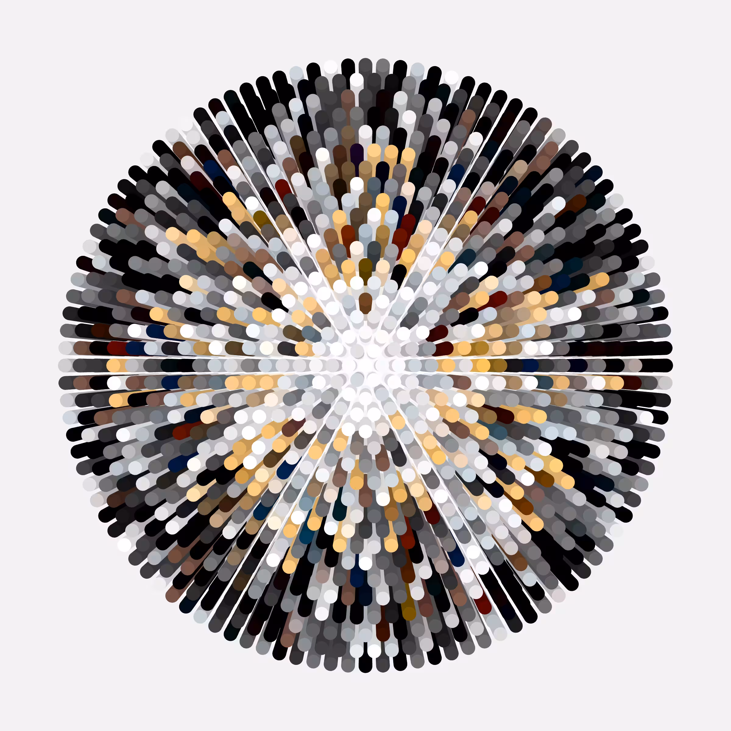 Transitions #3116