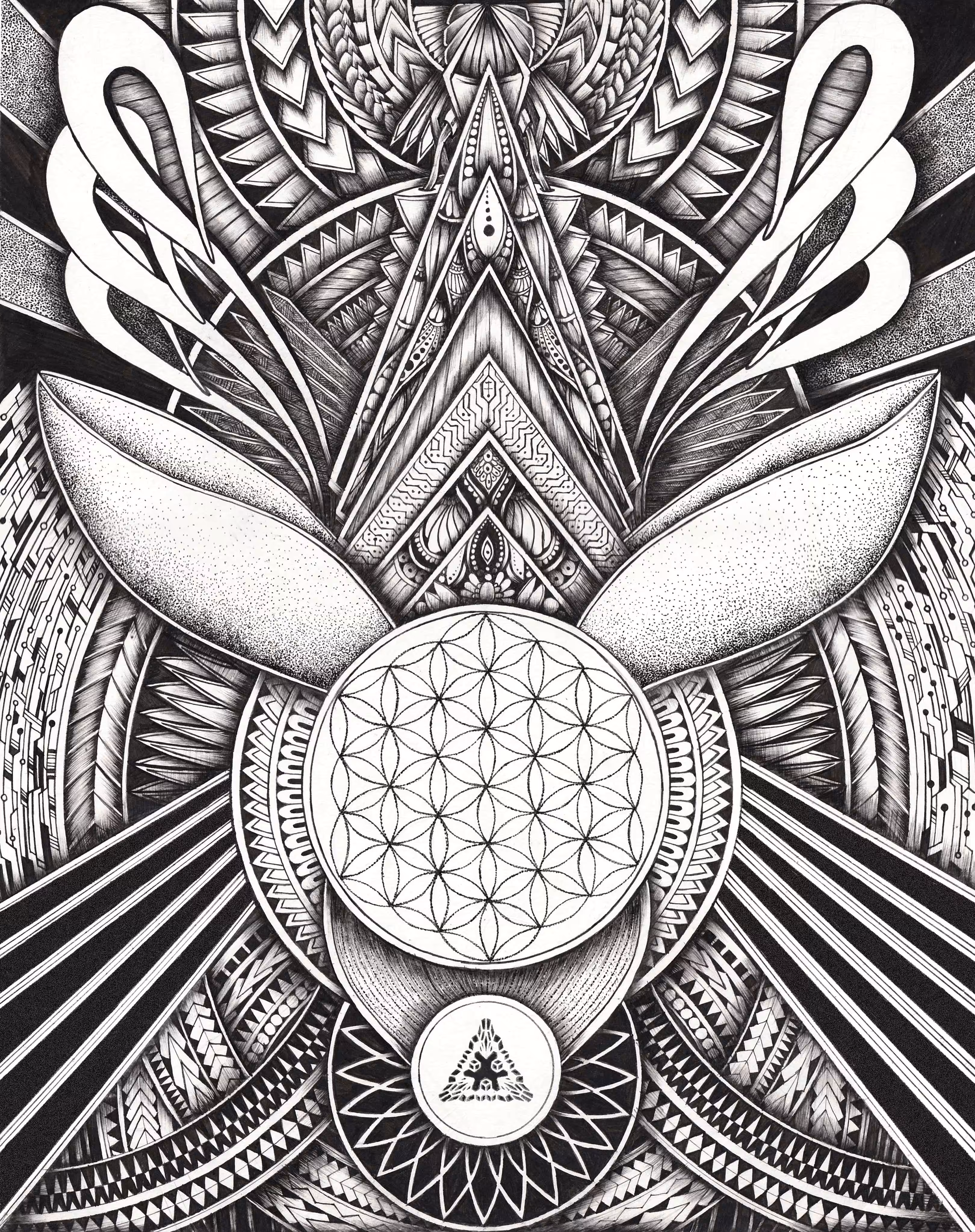 The Flower of Life