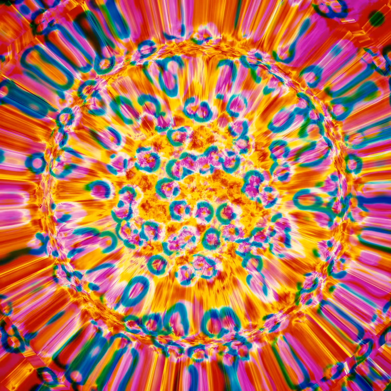 Protocell Supernovae