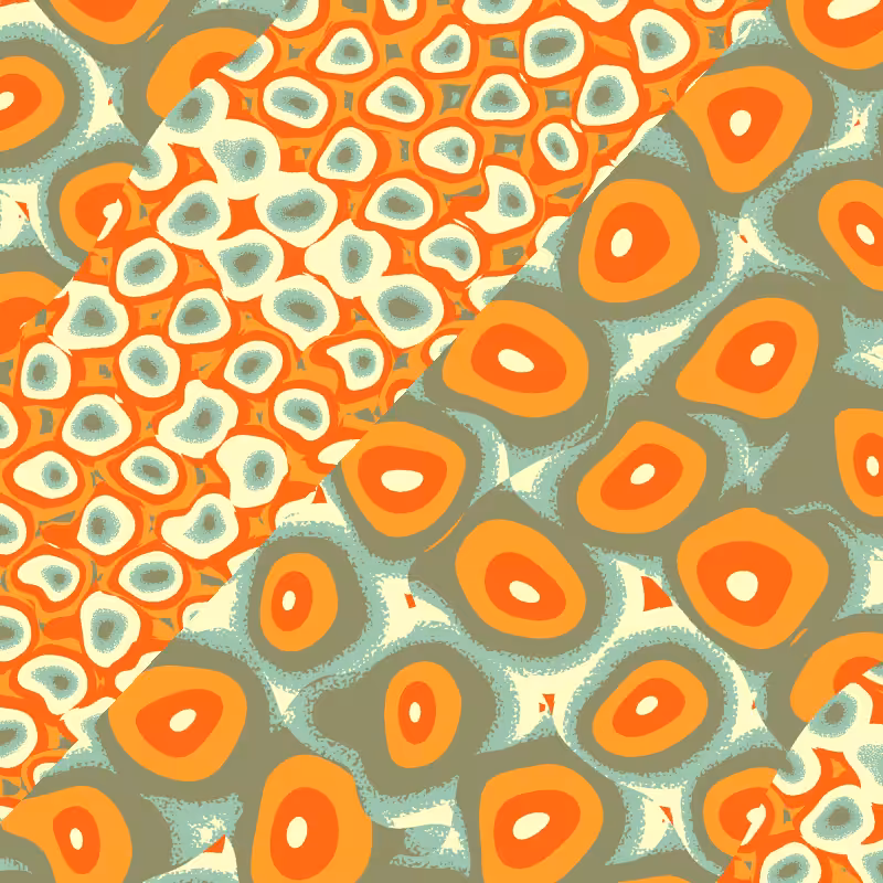 Cellulae #80
