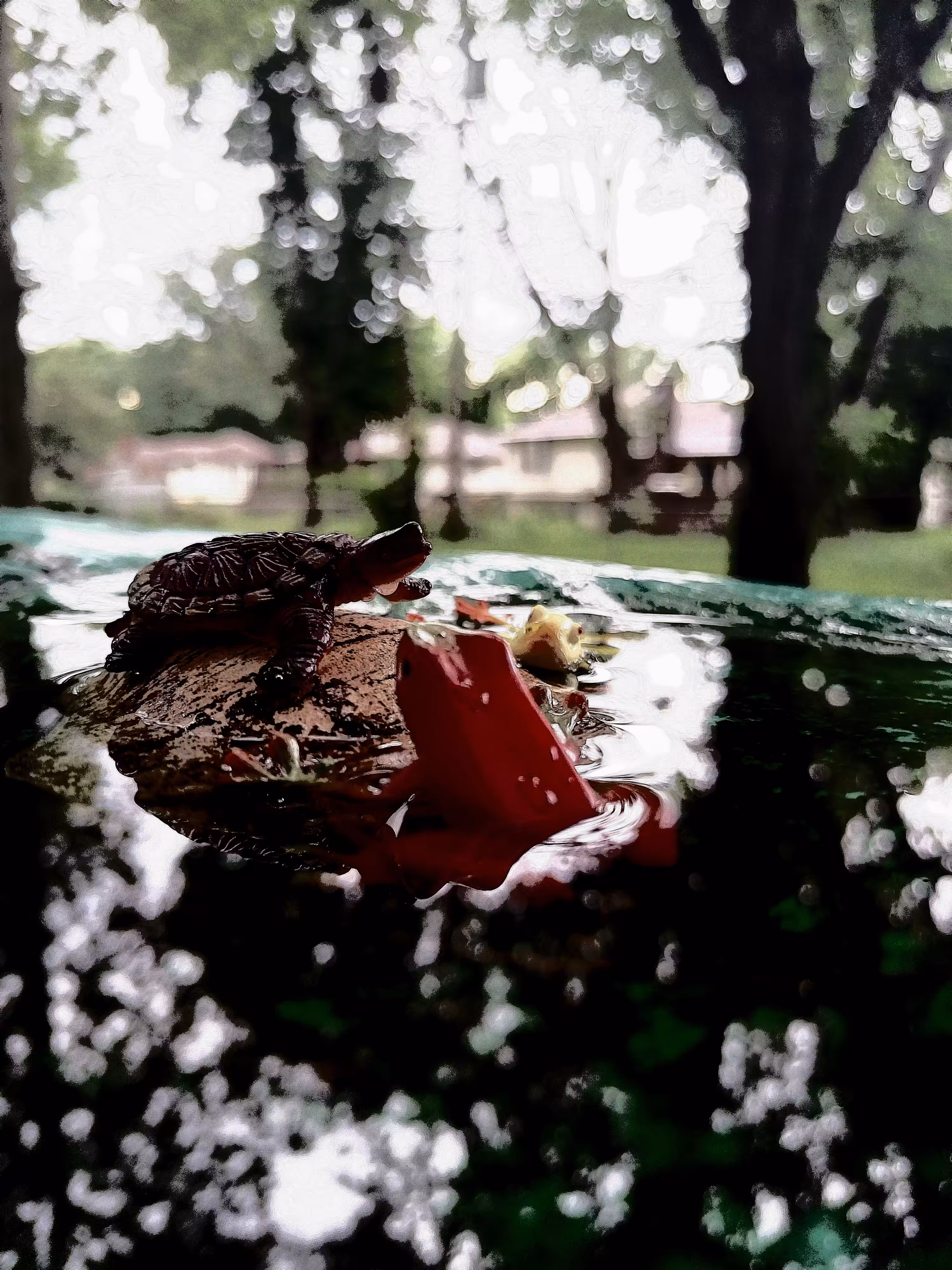 Puddle Party (KAP#50.4)