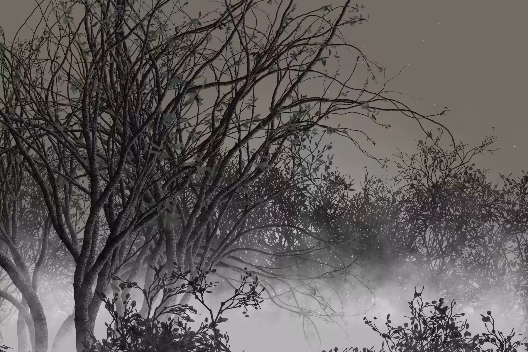 Morning Mist #328